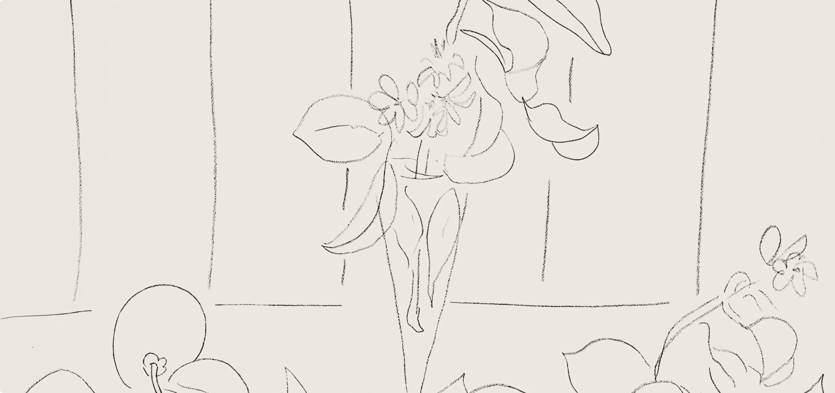 Henri Matisse, Série M, var. 6 (Duthuit 9), Henri Matisse, Dessins, Thèmes et variations, Limited Edition Lithograph