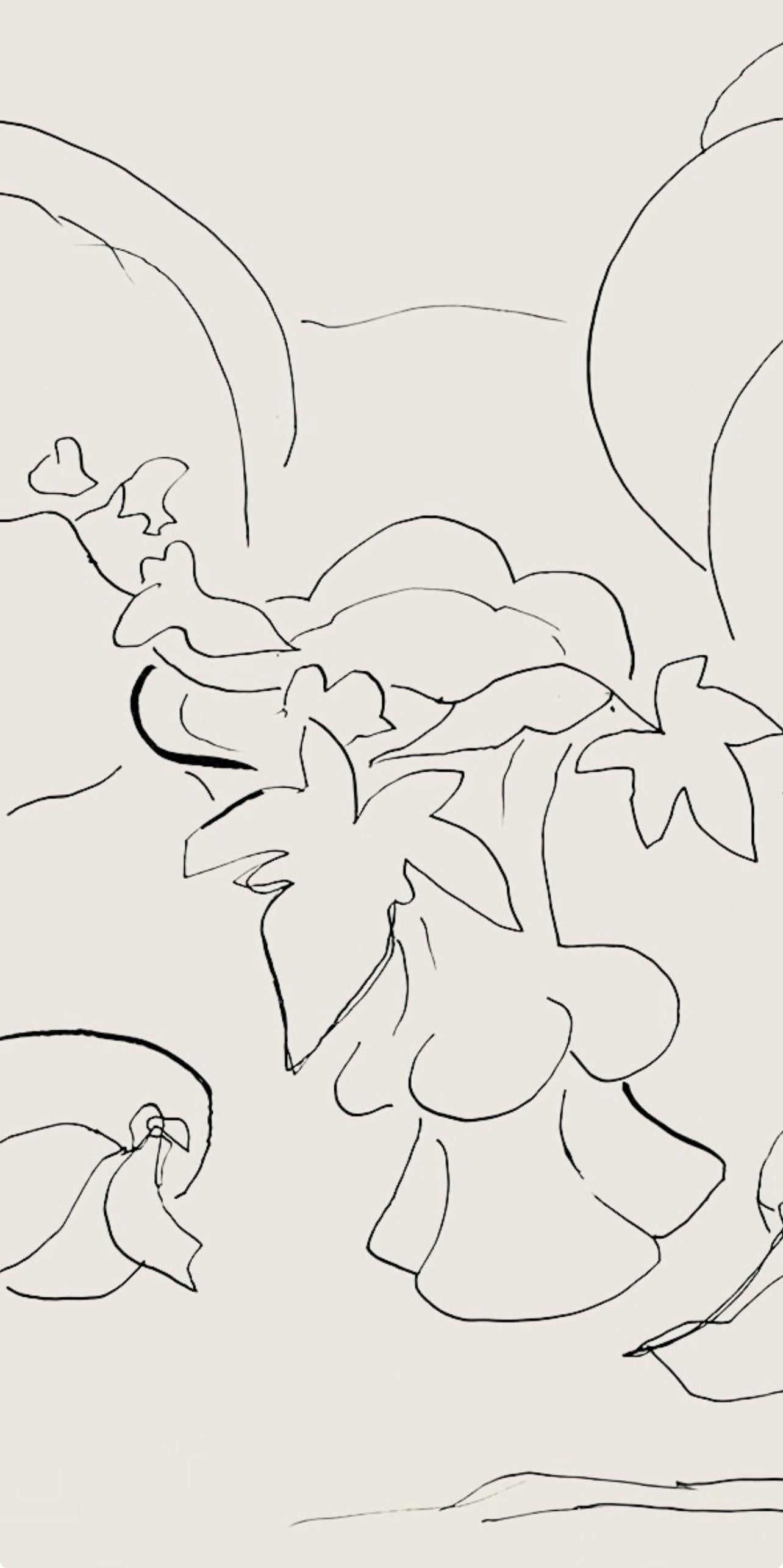 Henri Matisse, Série H, var. 7 (Duthuit 9), Henri Matisse, Dessins, Thèmes et variations, Limited Edition Lithograph