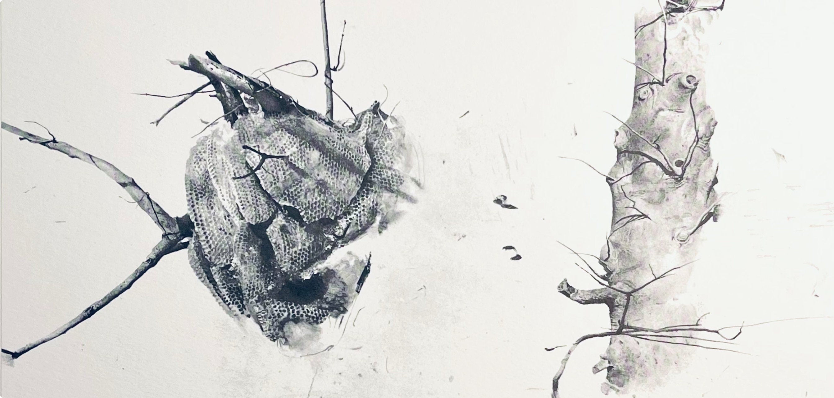 Andrew Wyeth, Storing Up, The Four Seasons, Limited Edition Lithograph