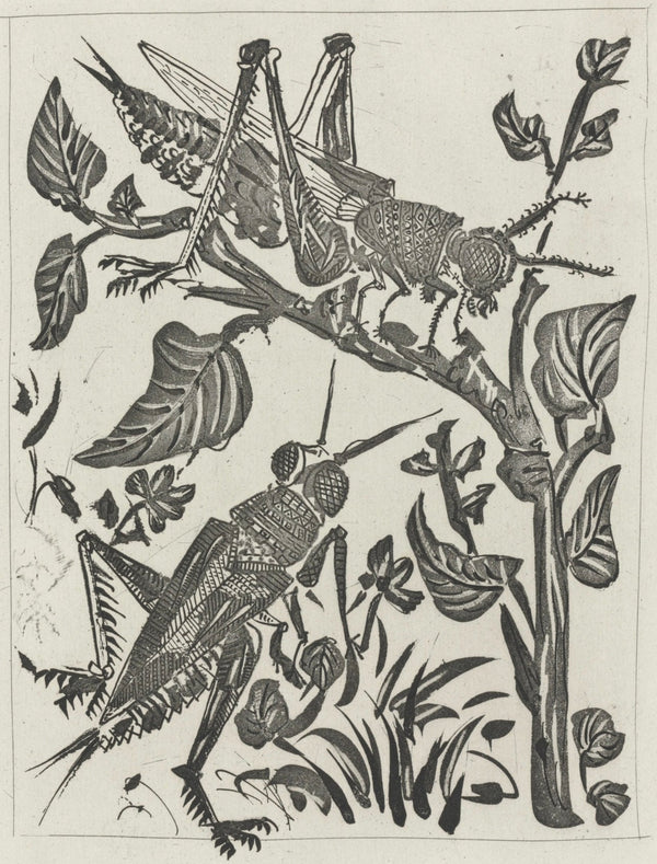 Pablo Picasso, La Sauterelle, Histoire naturelle, Limited Edition Lithograph