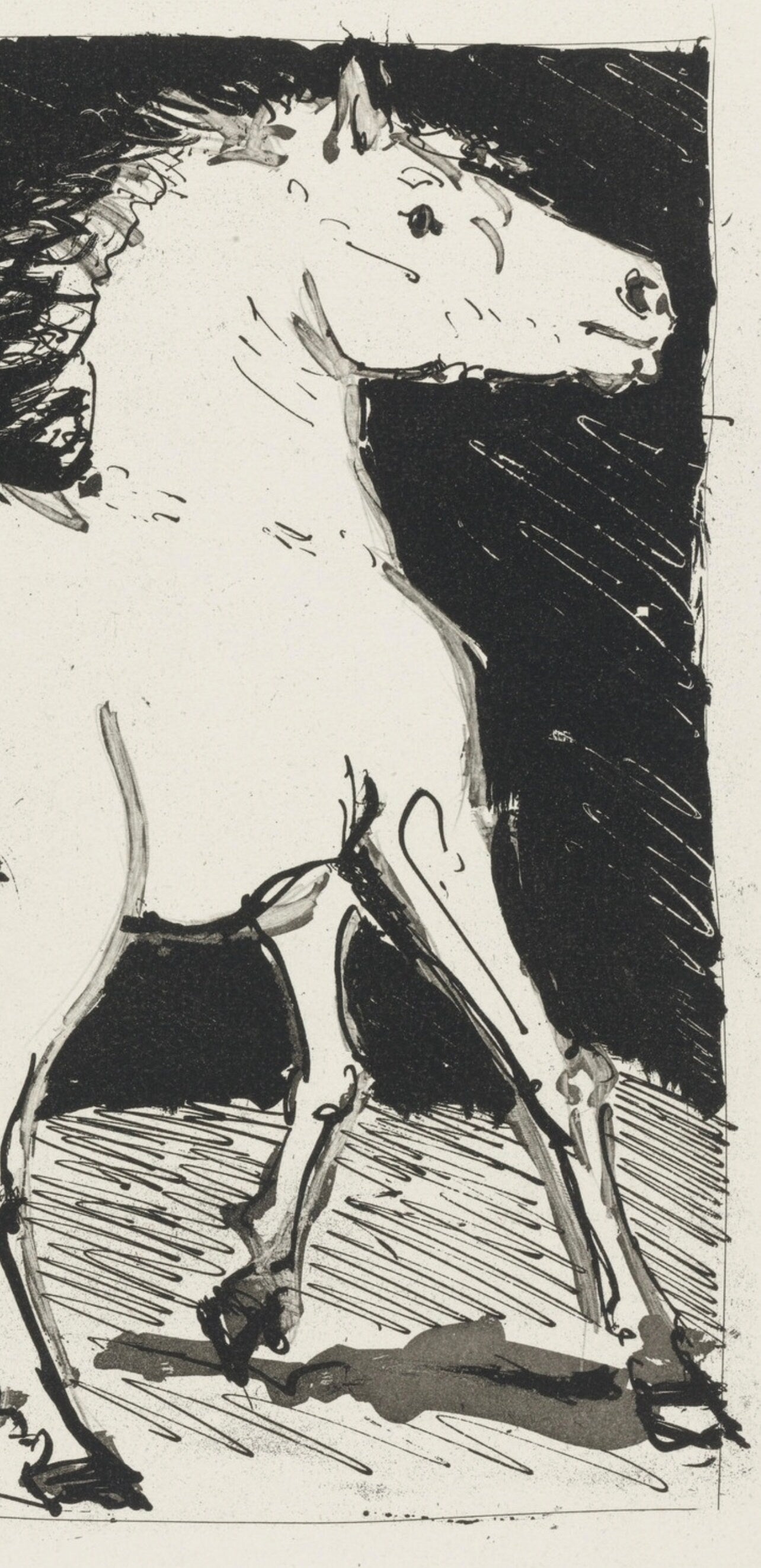 Pablo Picasso, Le Cheval, Histoire naturelle, Limited Edition Lithograph