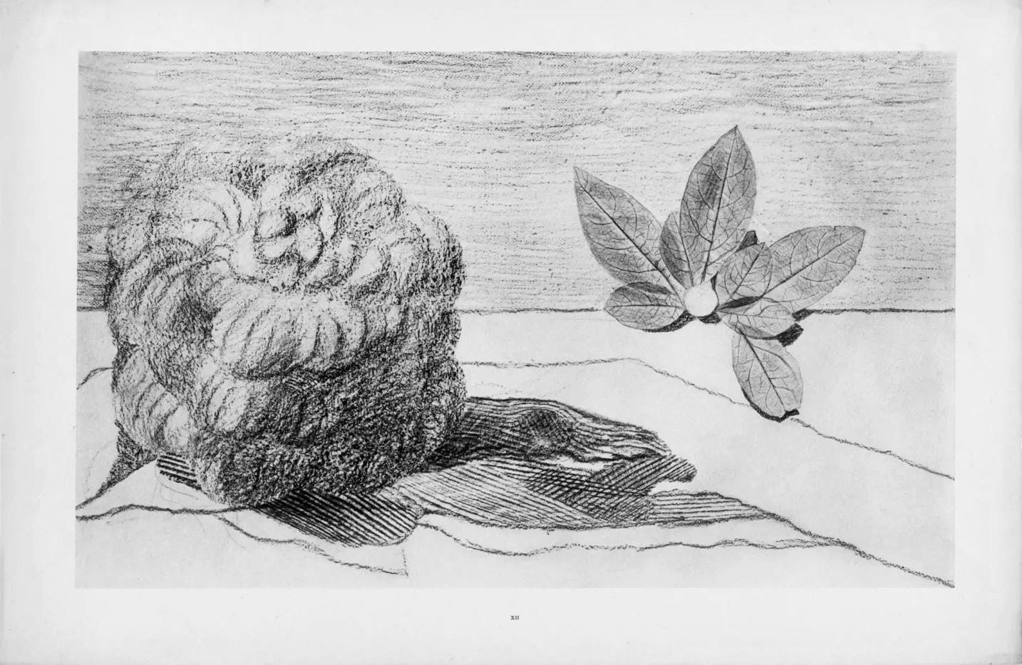 Max Ernst, Composition (Spies/Leppien 222), Histoire Naturelle, Limited Edition Lithograph