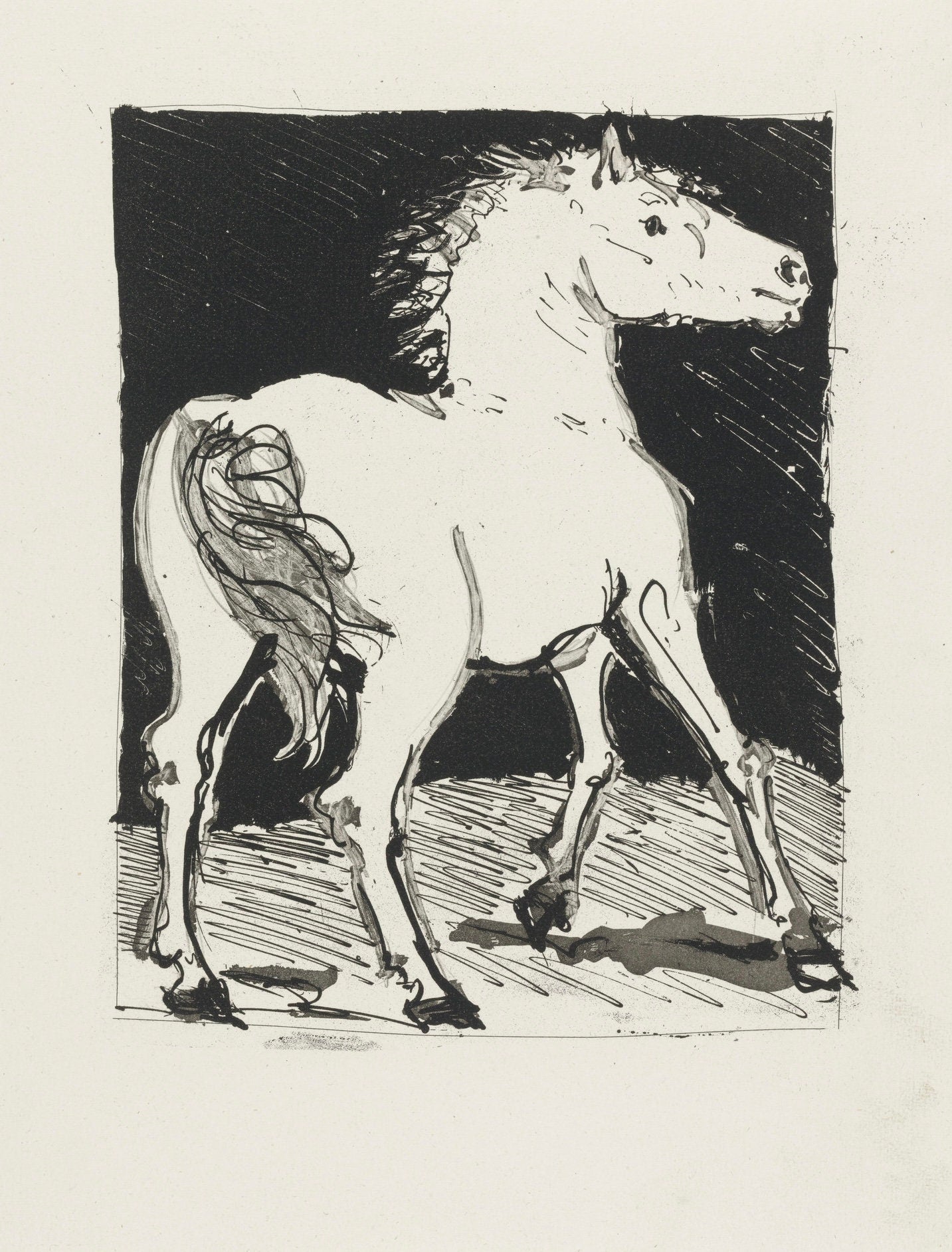 Pablo Picasso, Le Cheval, Histoire naturelle, Limited Edition Lithograph