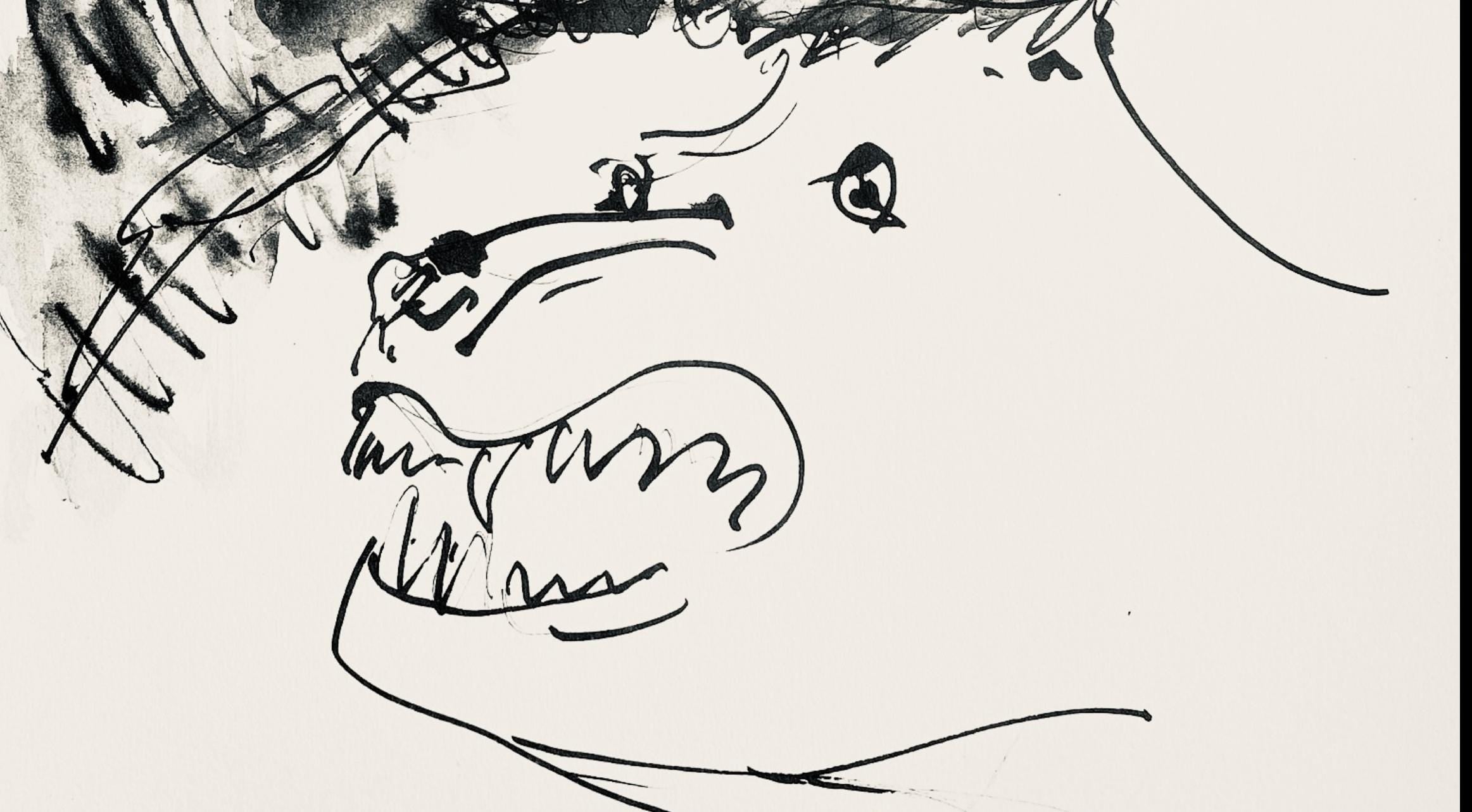 Pablo Picasso, Deux têtes de chiens (Cramer No. 84), 40 dessins de Picasso en marge du Buffon, Limited Edition Lithograph
