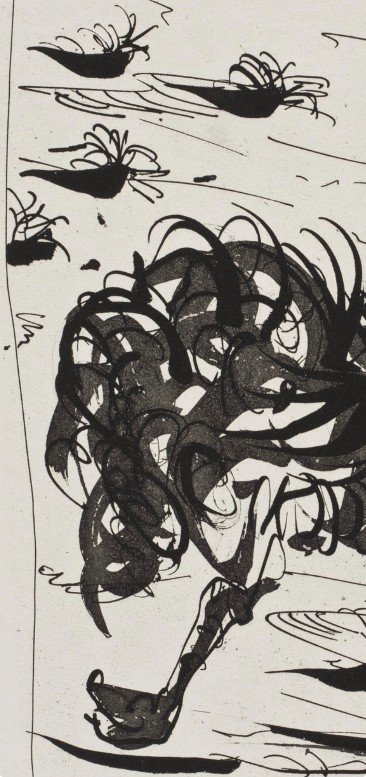 Pablo Picasso, L'Autruche, Histoire naturelle, Limited Edition Lithograph