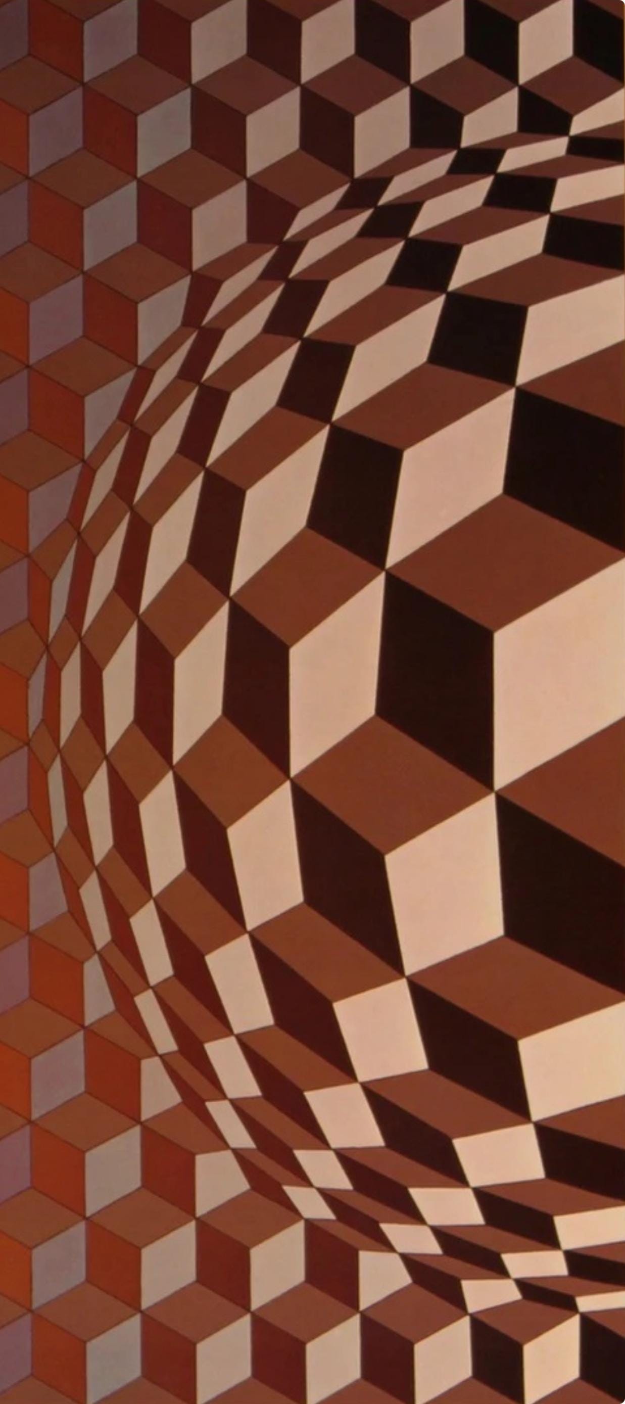 Victor Vasarely, Composition, Hexagone, Limited Edition Héliogravure