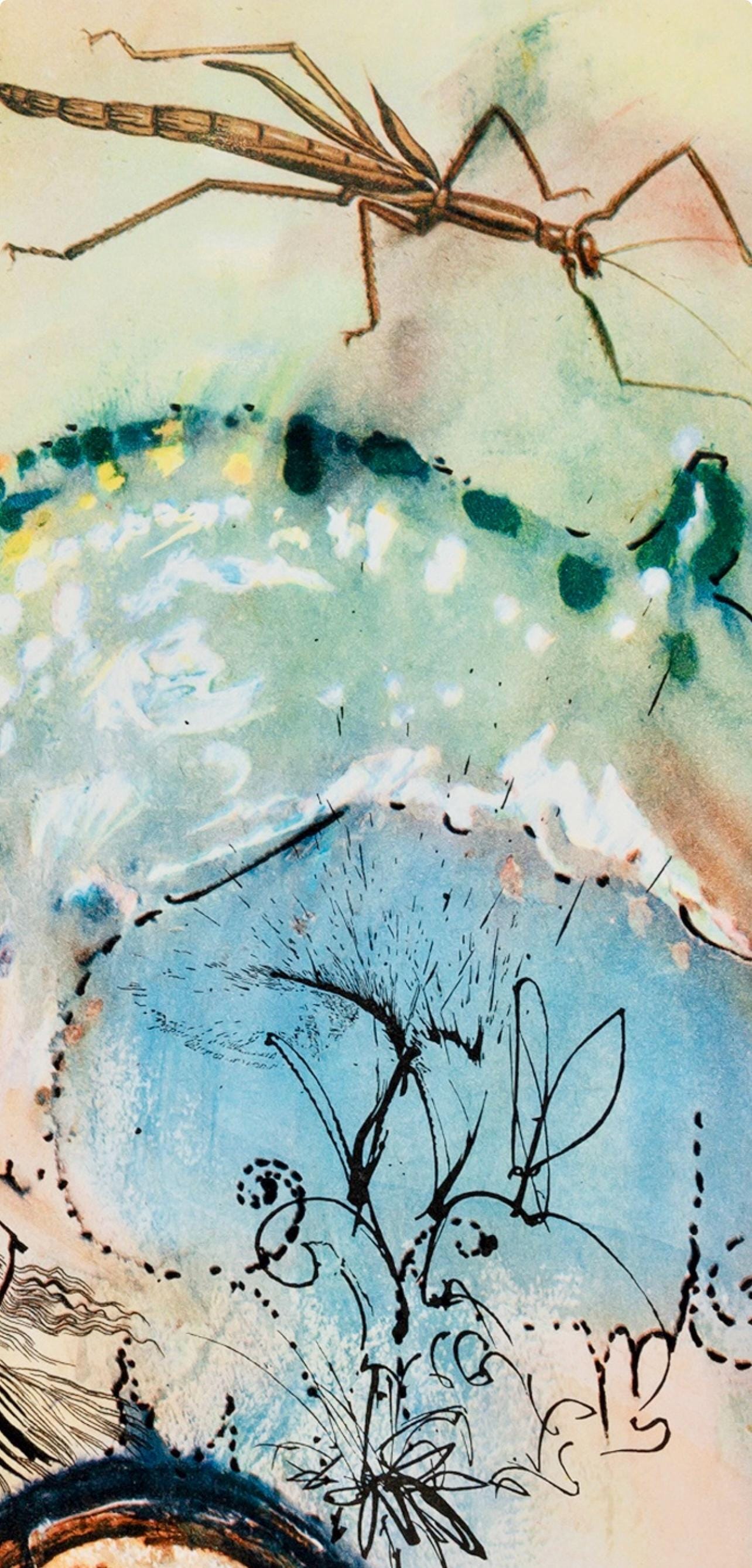 Salvador Dalí, Composition (Field 69-5, A-M), Alice's Adventures in Wonderland, Limited Edition Héliogravure