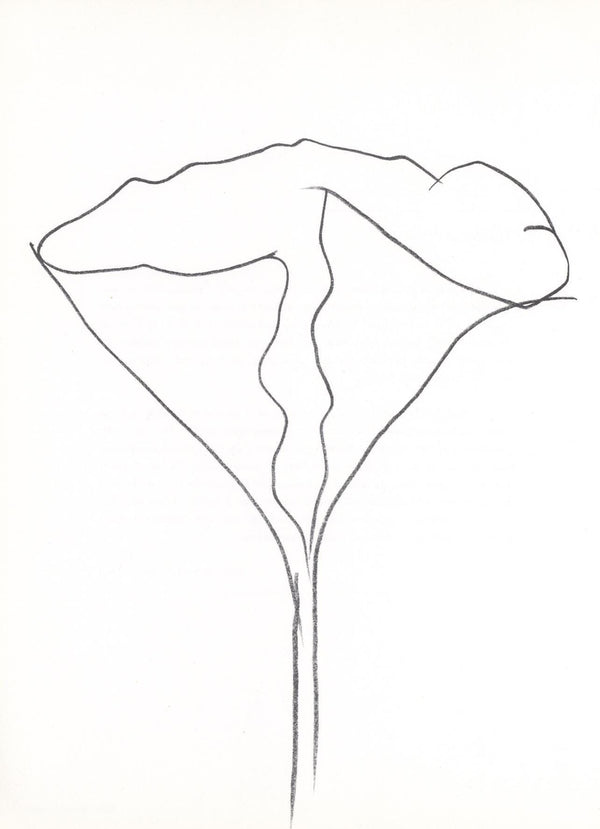 Ellsworth Kelly, Lotus (Axsom I-C), Hommage à Aimé et Marguerite Maeght, Derrière le miroir, Limited Edition Lithograph