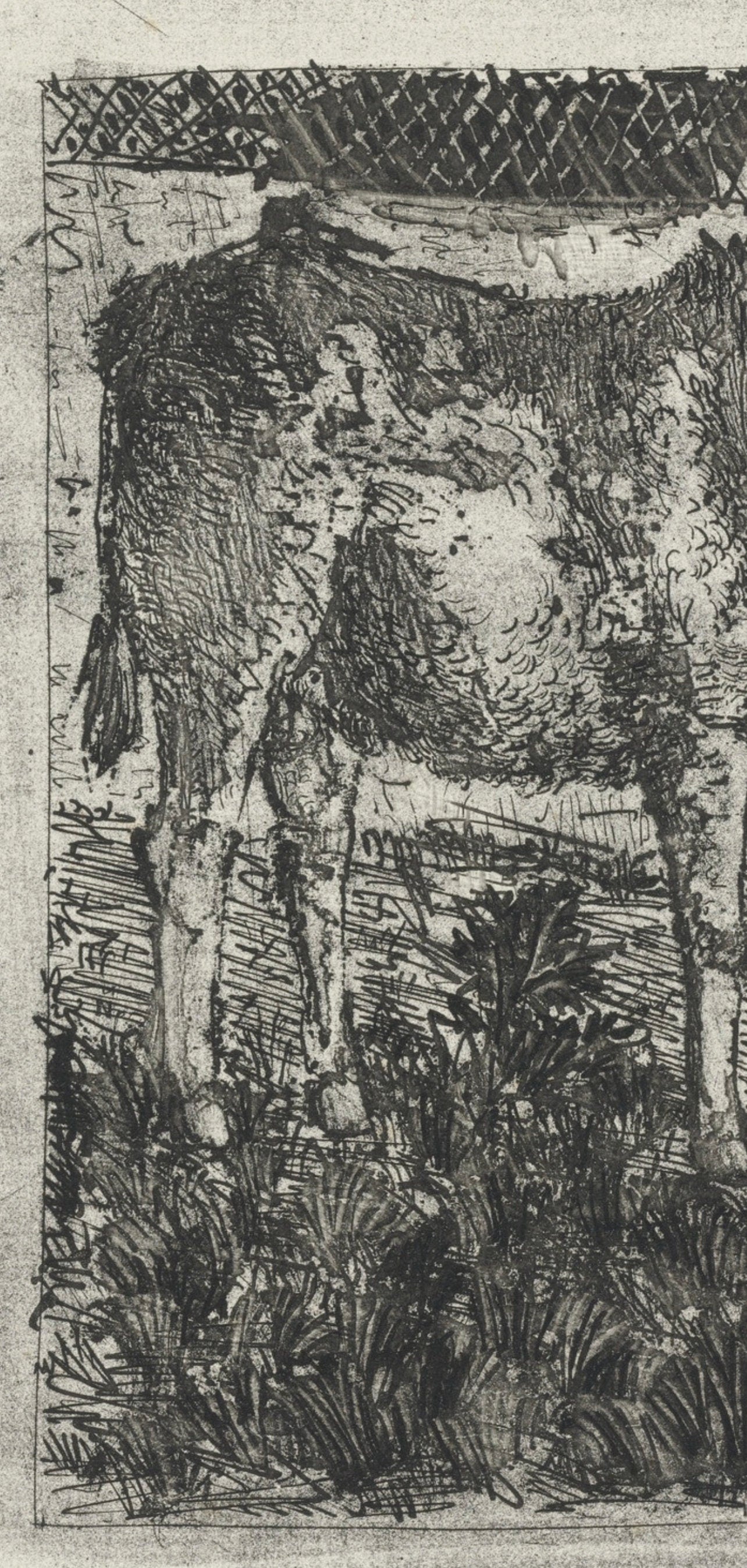 Pablo Picasso, L'Âne, Histoire naturelle, Limited Edition Lithograph