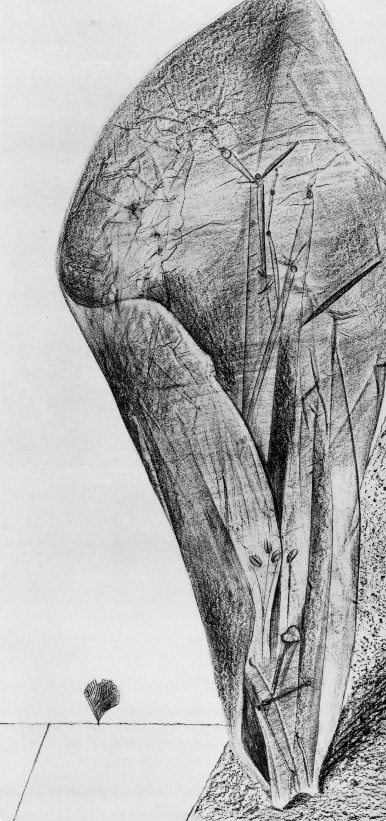 Max Ernst, Composition (Spies/Leppien 222), Histoire Naturelle, Limited Edition Lithograph