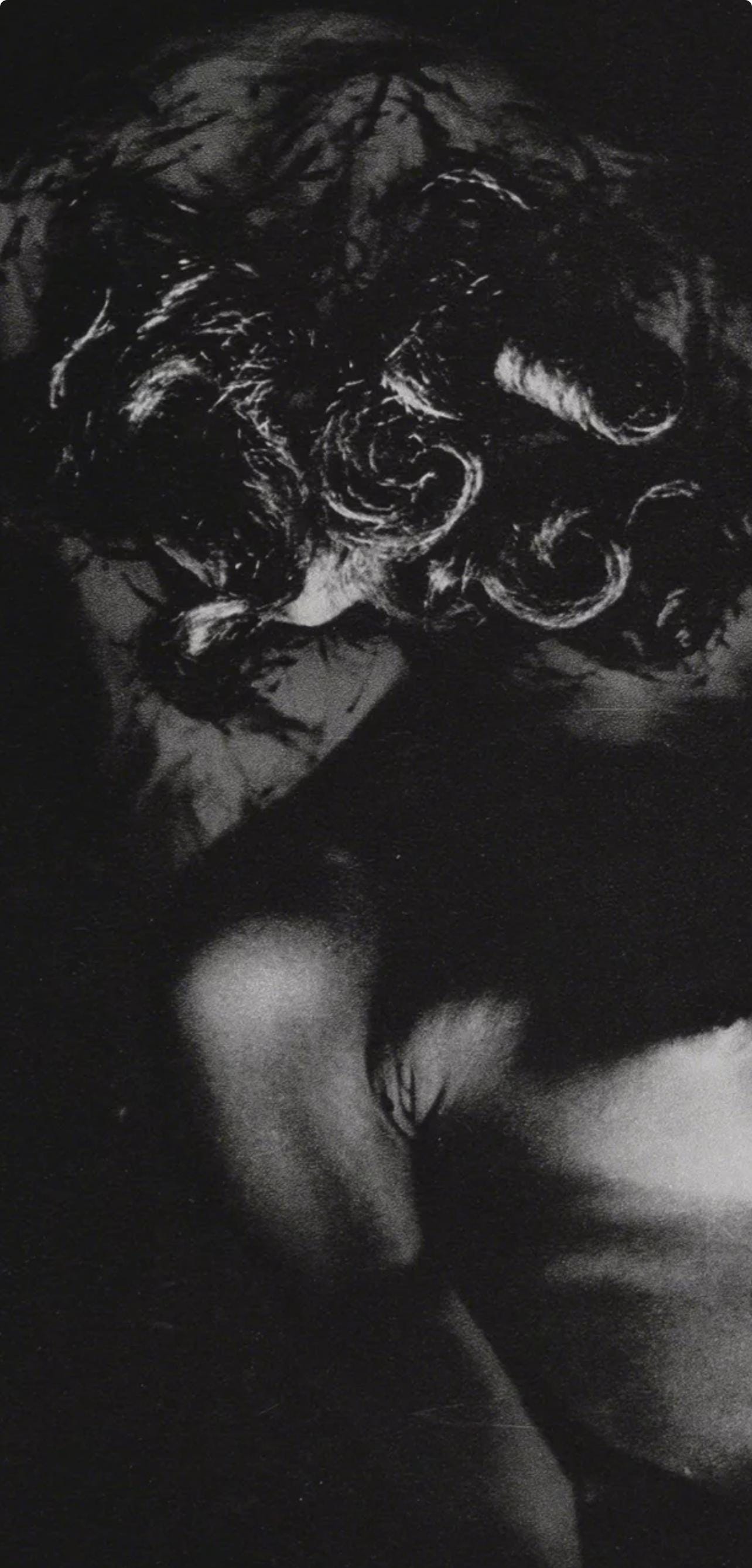 Erwin Blumenfeld, Composition, Erwin Blumenfeld, Electa Editrice Portfolios, Limited Edition Héliogravure