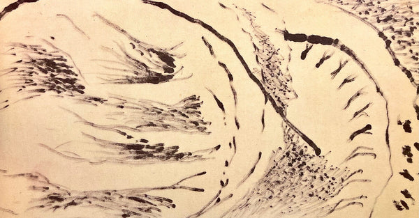 Jackson Pollock, Composition, Jackson Pollock, The Last Sketchbook, Limited Edition Lithograph