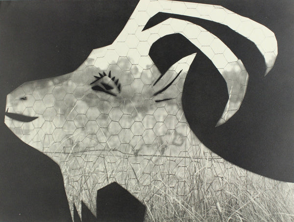 Pablo Picasso, Composition (Bloch 112; Kibbey 1466; Goeppert 115), Diurnes Découpages et Photographies, Limited Edition Phototype