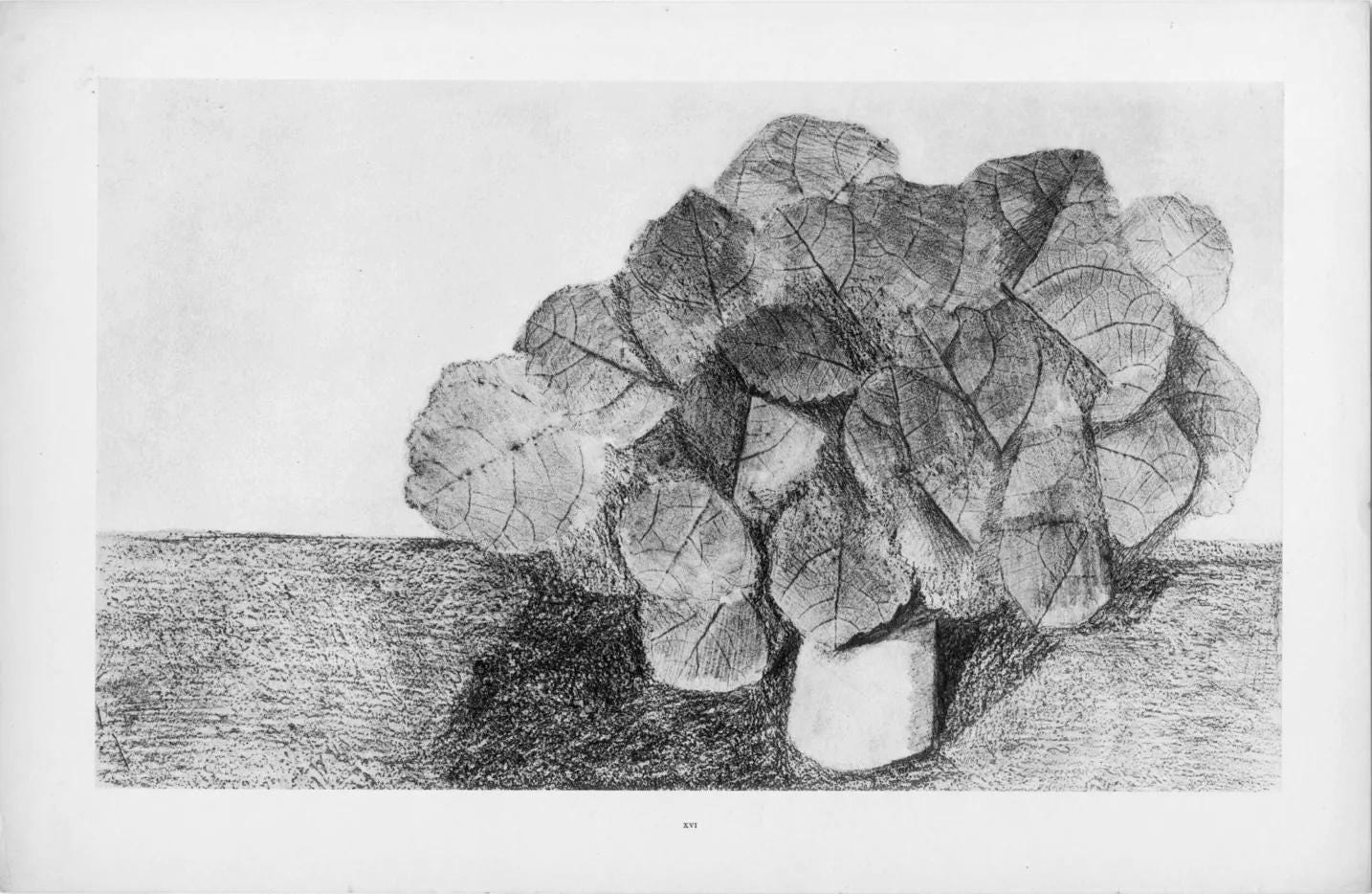 Max Ernst, Composition (Spies/Leppien 222), Histoire Naturelle, Limited Edition Lithograph