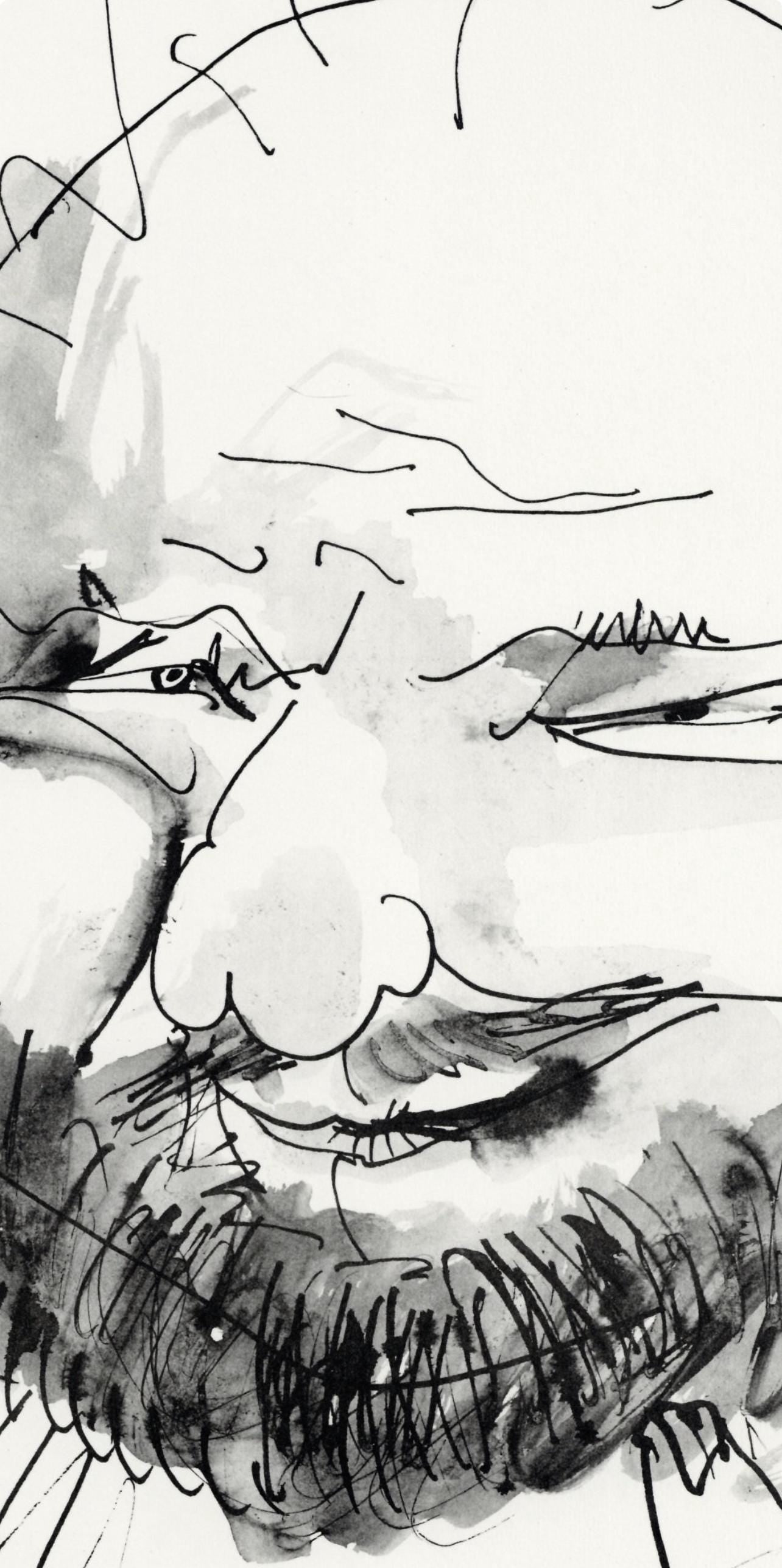 Pablo Picasso, Chauve, barbu et hilare, trait et lavis (Cramer No. 84), 40 dessins de Picasso en marge du Buffon, Limited Edition Lithograph