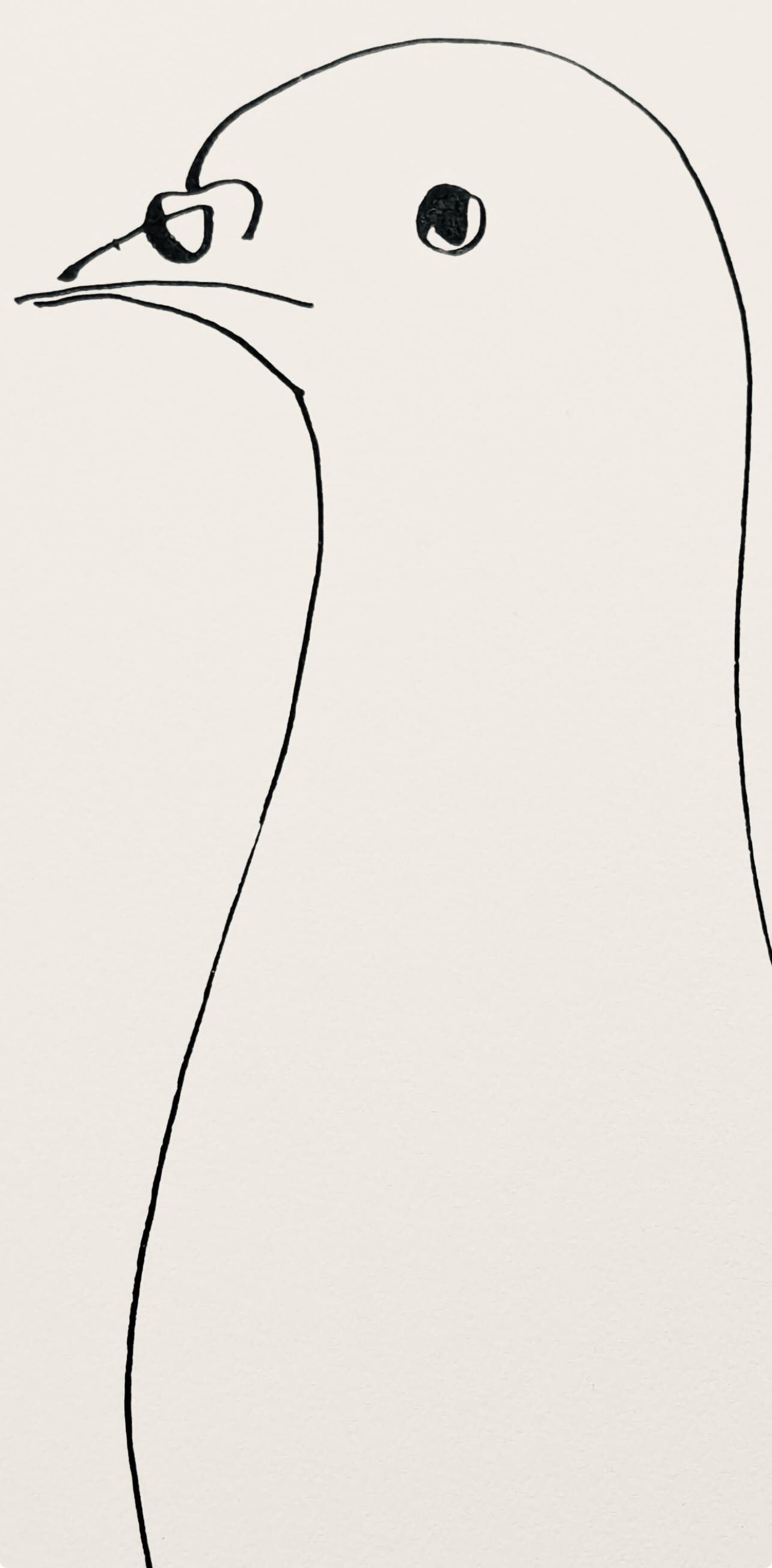 Pablo Picasso, Pigeon (Cramer No. 84), 40 dessins de Picasso en marge du Buffon, Limited Edition Lithograph