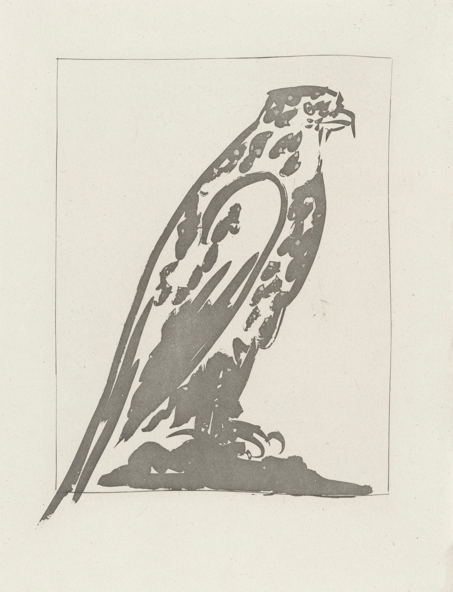 Pablo Picasso, L'Épervier, Histoire naturelle, Limited Edition Lithograph