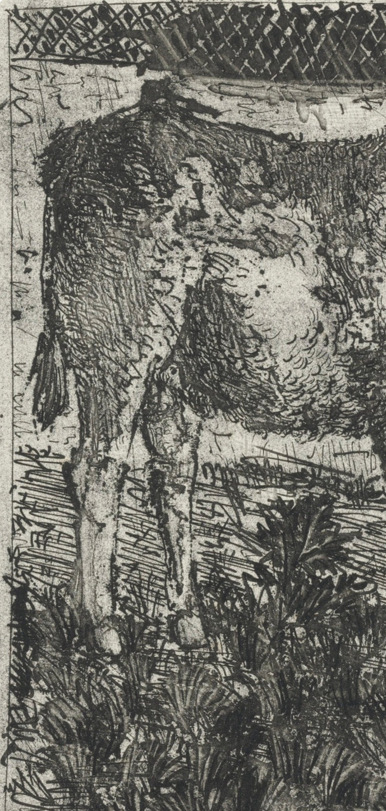 Pablo Picasso, L'Âne, Histoire naturelle, Limited Edition Lithograph