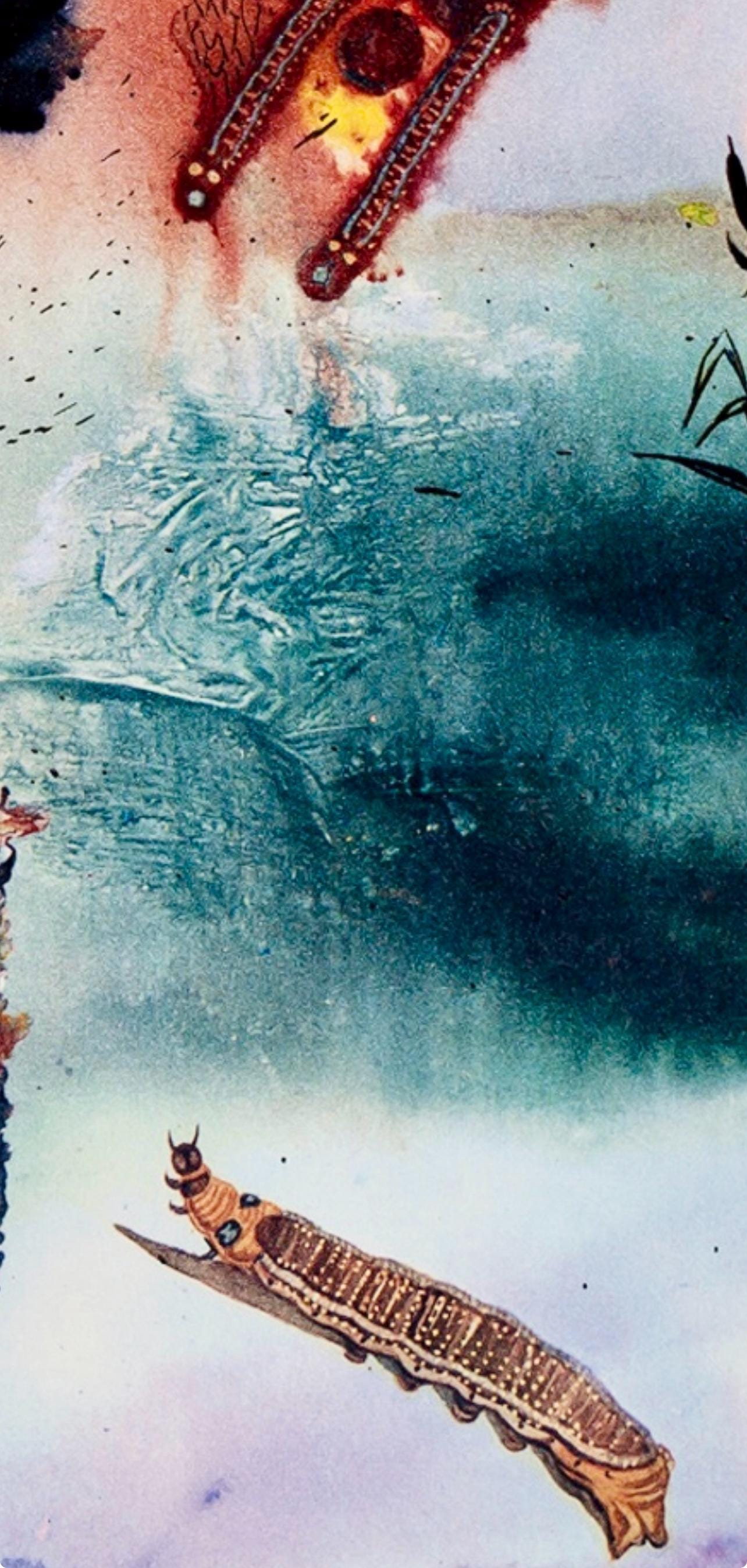 Salvador Dalí, Composition (Field 69-5, A-M), Alice's Adventures in Wonderland, Limited Edition Héliogravure