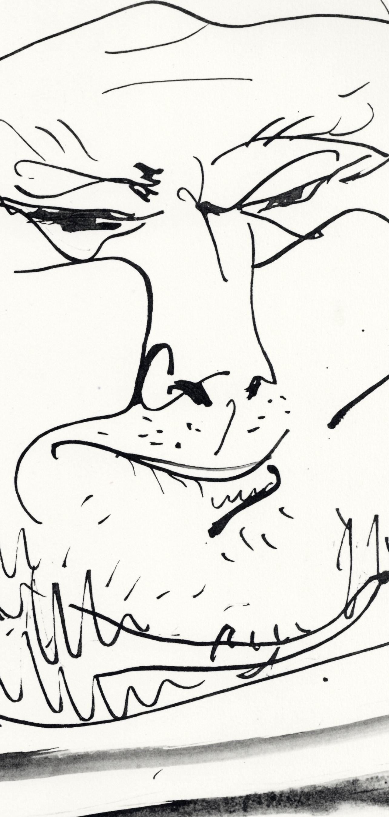 Pablo Picasso, Visage de vieux marin (Cramer No. 84), 40 dessins de Picasso en marge du Buffon, Limited Edition Lithograph
