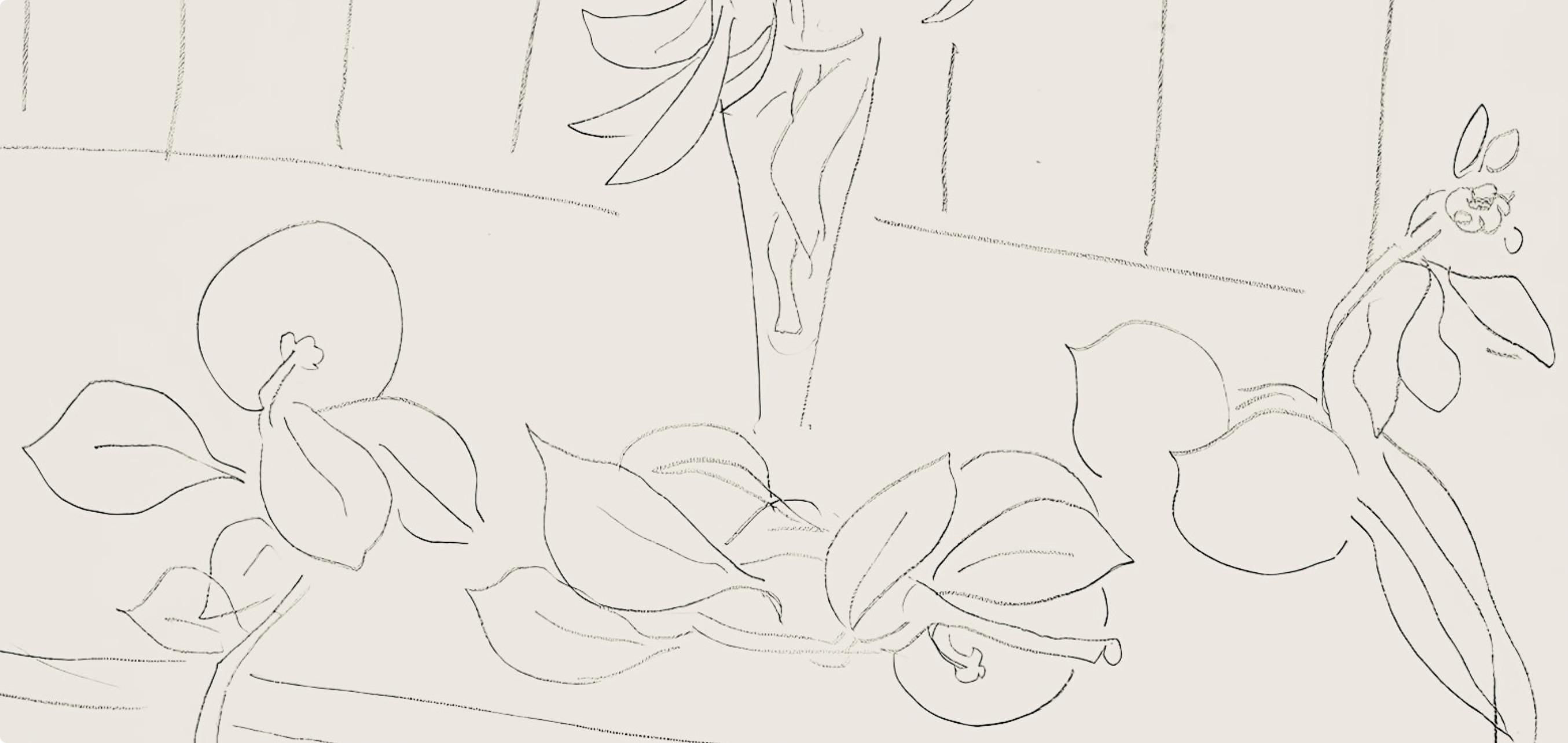 Henri Matisse, Série M, var. 5 (Duthuit 9), Henri Matisse, Dessins, Thèmes et variations, Limited Edition Lithograph