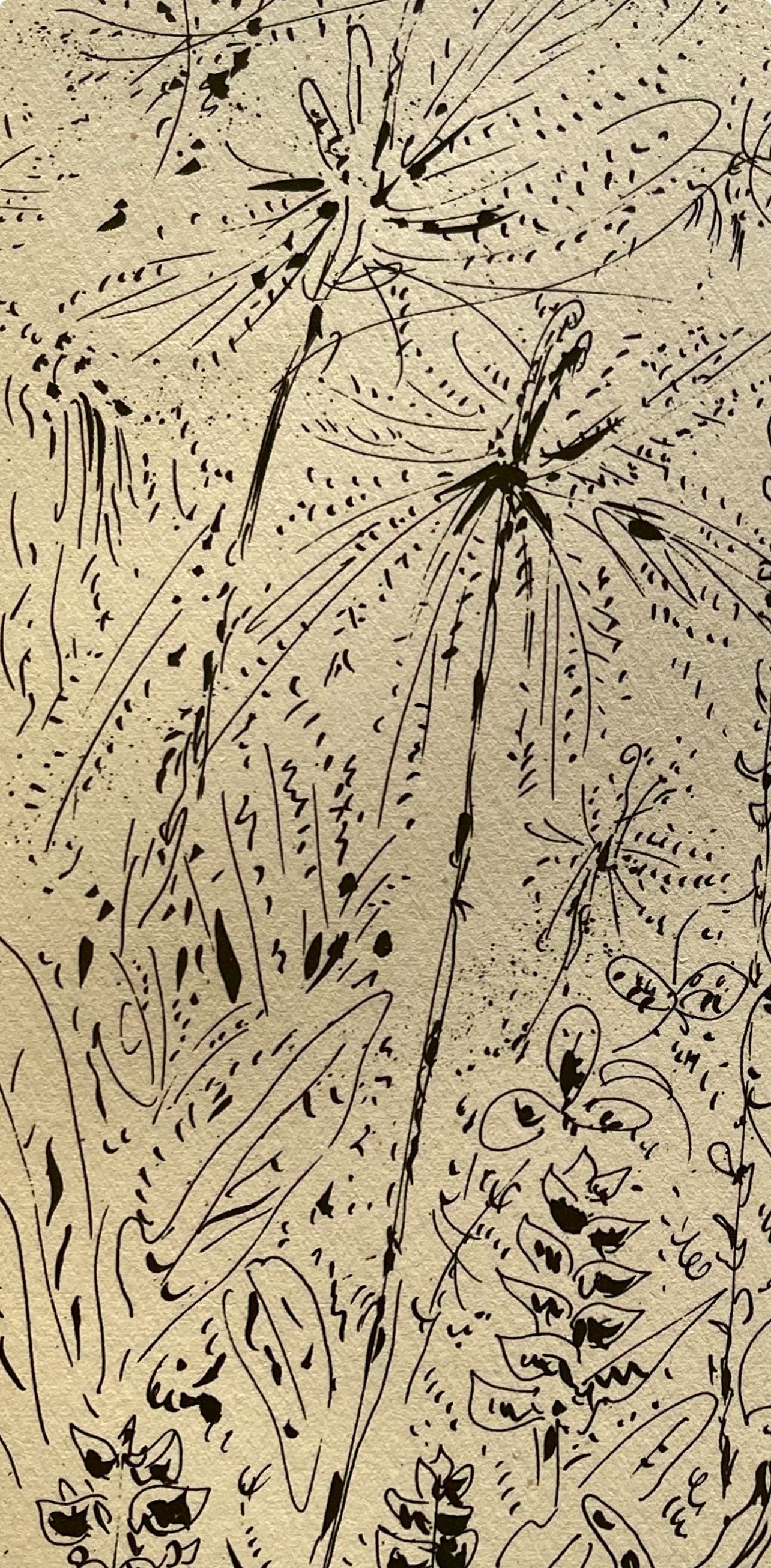 André Masson, Forêt martiniquaise, Masson Dessins, Limited Edition Lithograph