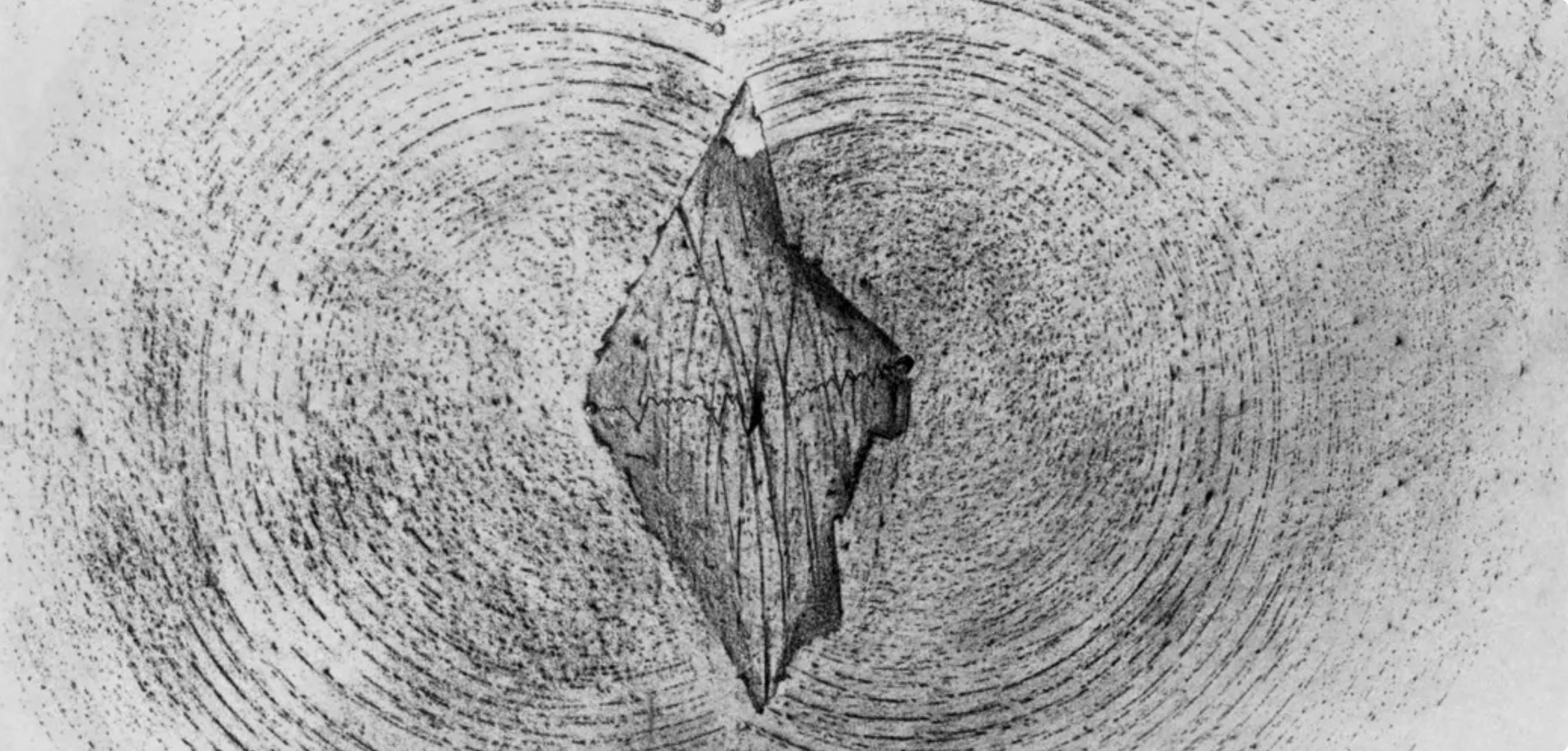 Max Ernst, Composition (Spies/Leppien 222), Histoire Naturelle, Limited Edition Lithograph
