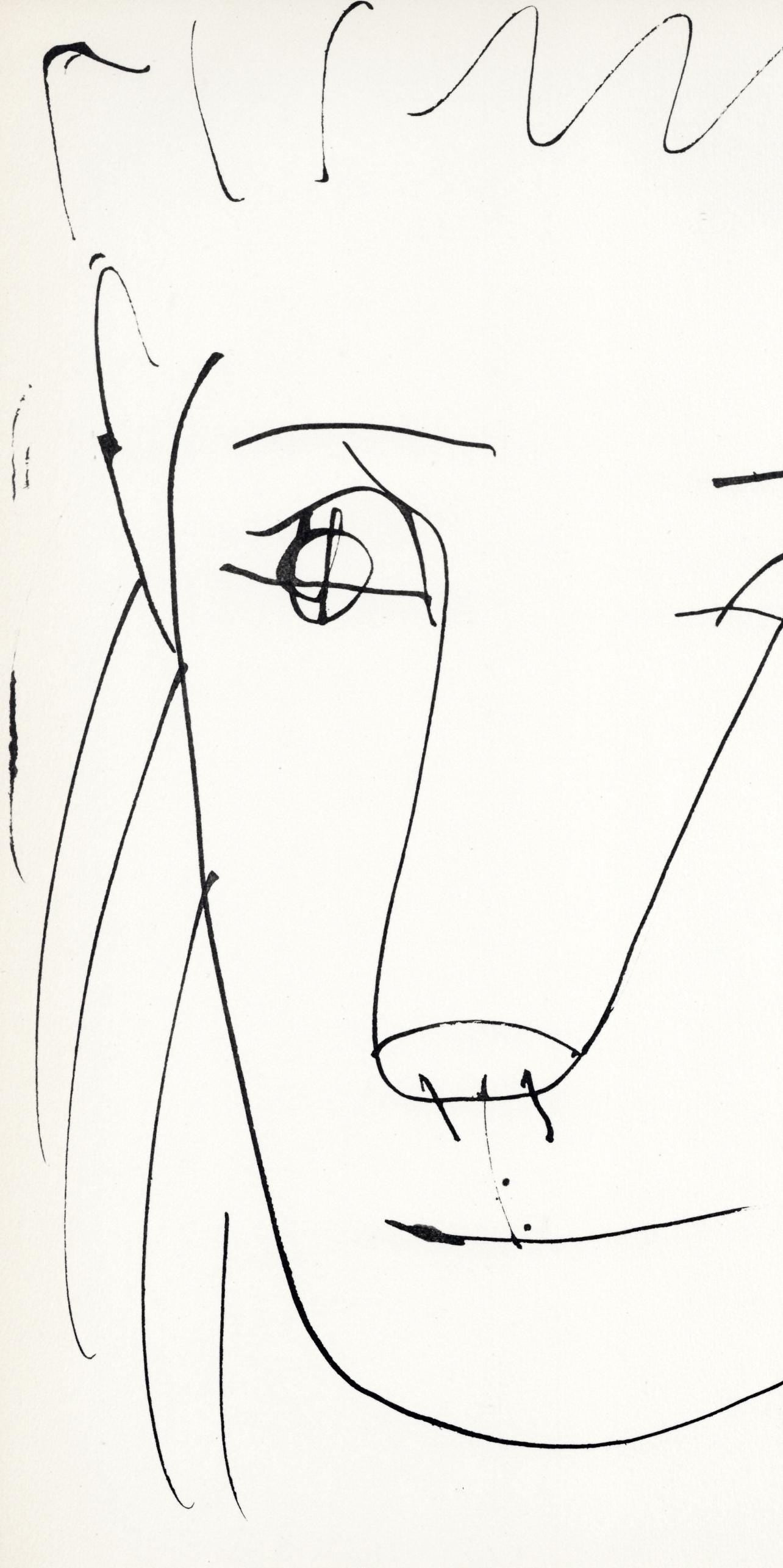 Pablo Picasso, Tête de lion (Cramer No. 84), 40 dessins de Picasso en marge du Buffon, Limited Edition Lithograph