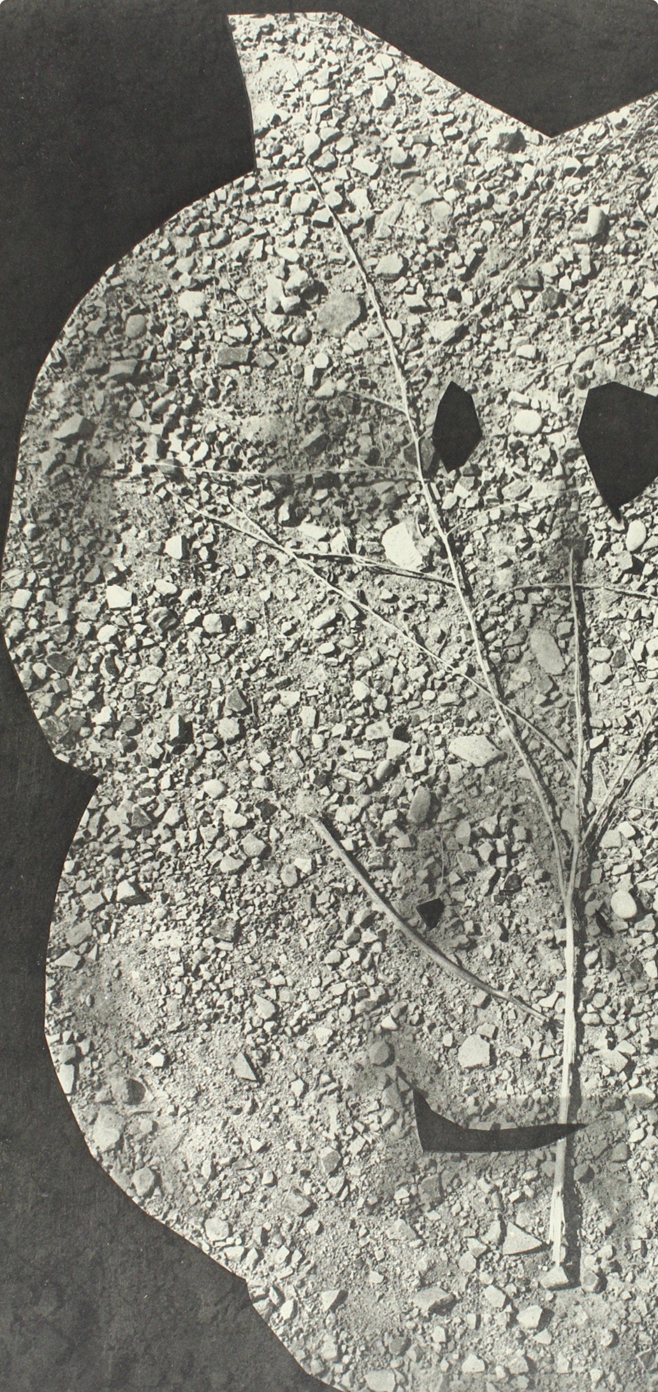 Pablo Picasso, Composition (Bloch 112; Kibbey 1466; Goeppert 115), Diurnes Découpages et Photographies, Limited Edition Phototype