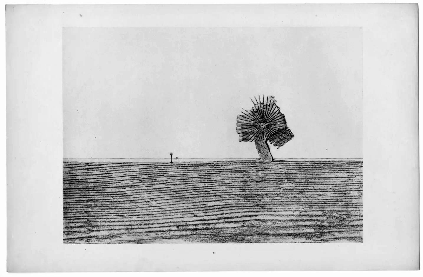 Max Ernst, Composition (Spies/Leppien 222), Histoire Naturelle, Limited Edition Lithograph