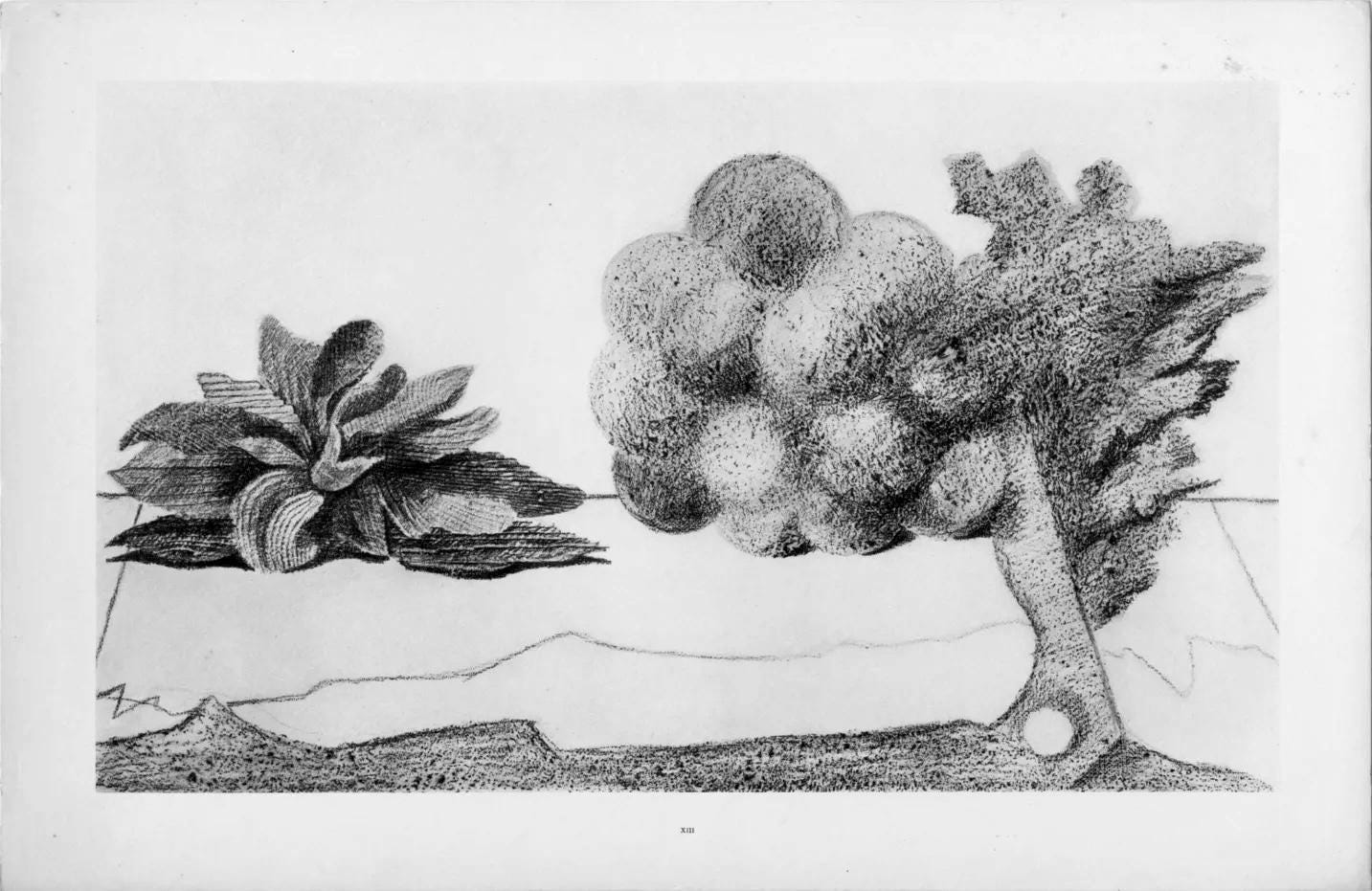 Max Ernst, Composition (Spies/Leppien 222), Histoire Naturelle, Limited Edition Lithograph
