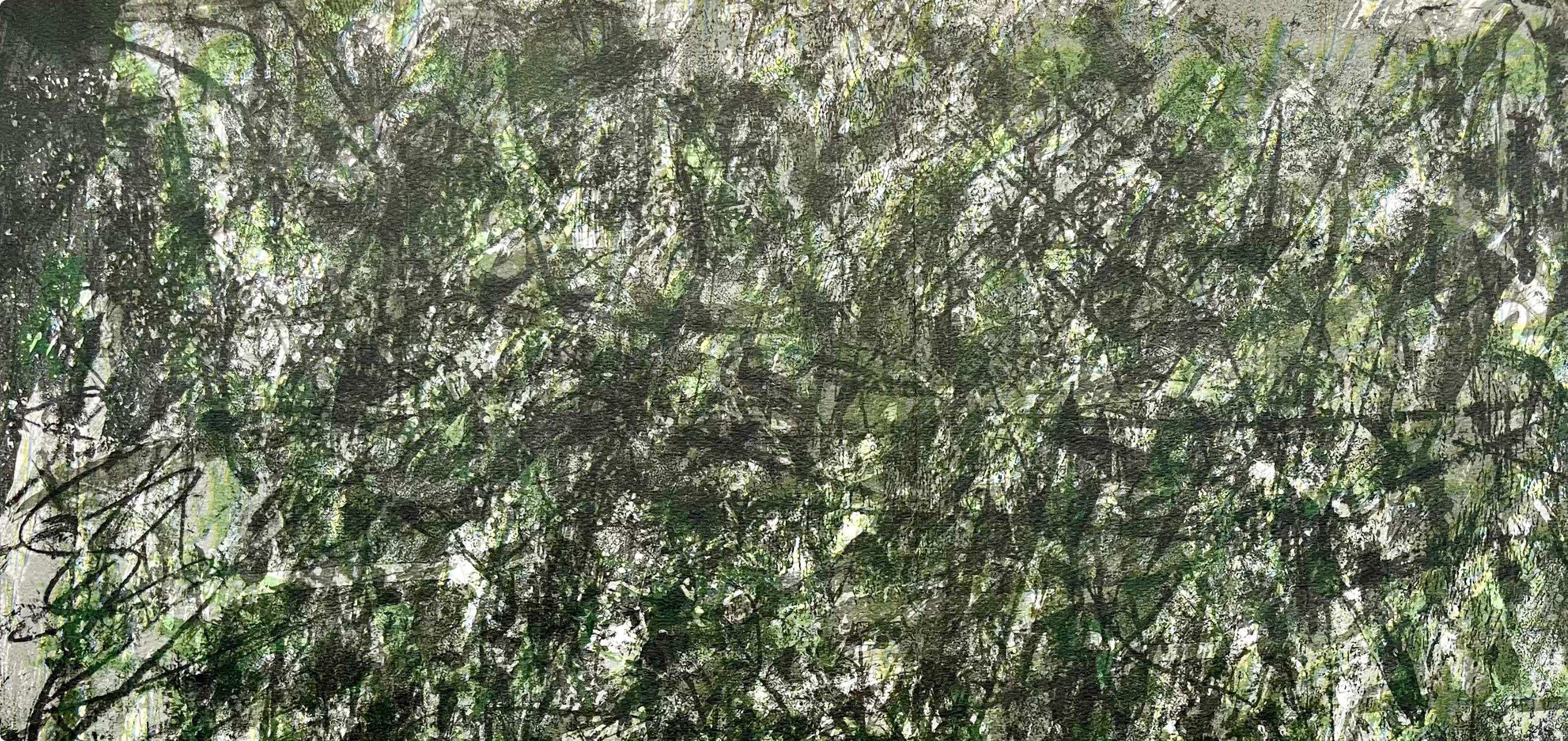 François Fiedler, Composition, Derrière le miroir, Limited Edition Lithograph
