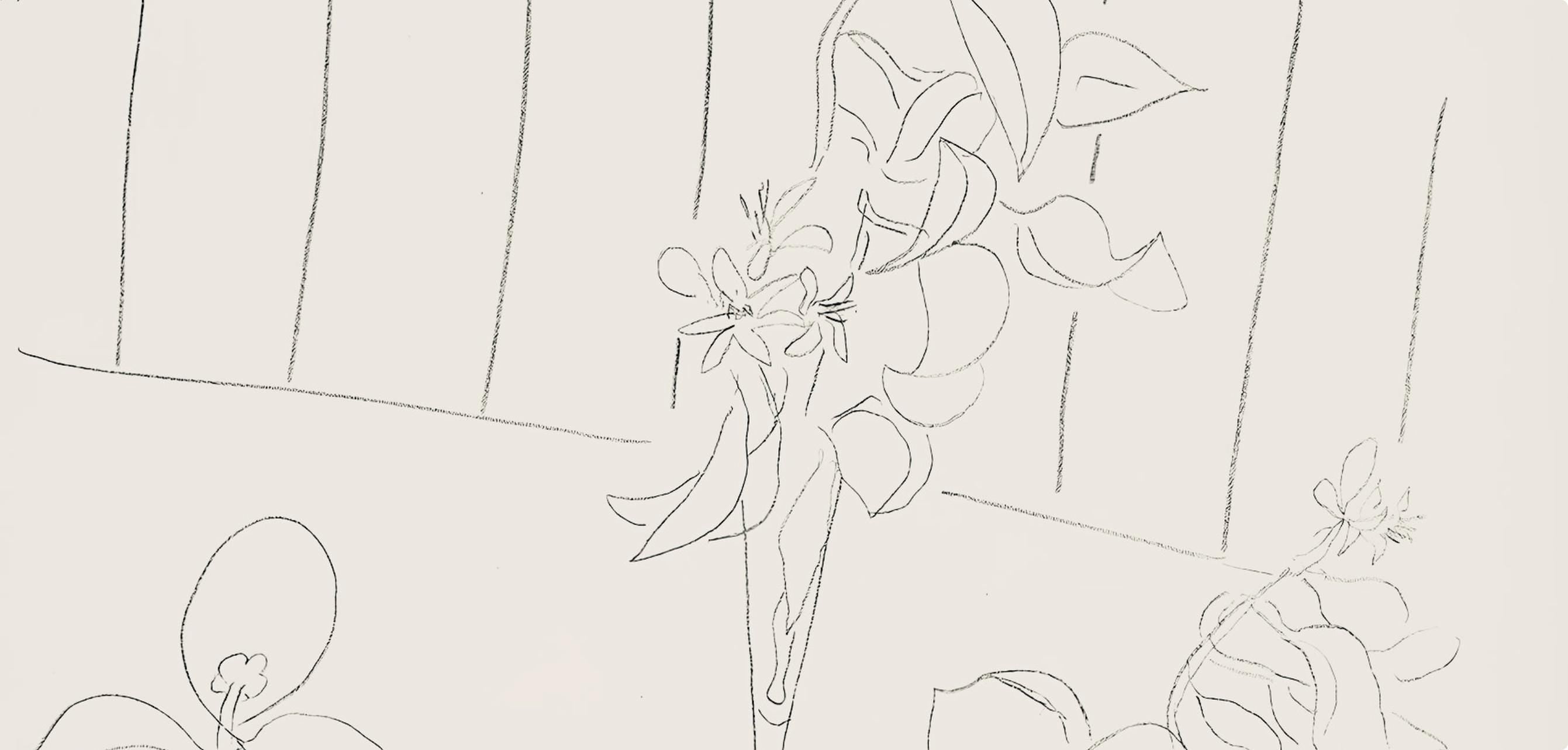 Henri Matisse, Série M, var. 4 (Duthuit 9), Henri Matisse, Dessins, Thèmes et variations, Limited Edition Lithograph