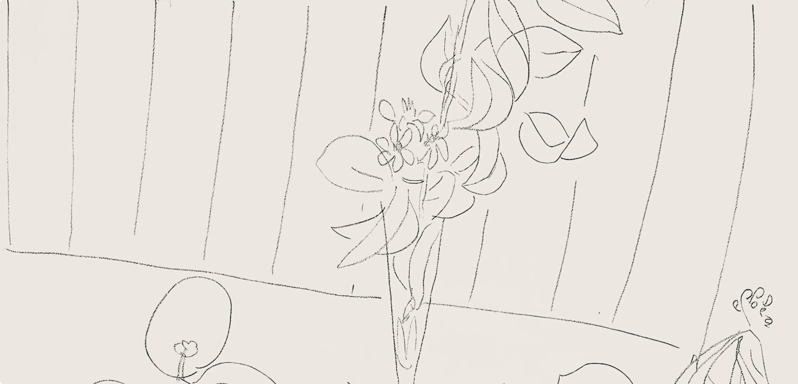 Henri Matisse, Série M, var. 5 (Duthuit 9), Henri Matisse, Dessins, Thèmes et variations, Limited Edition Lithograph