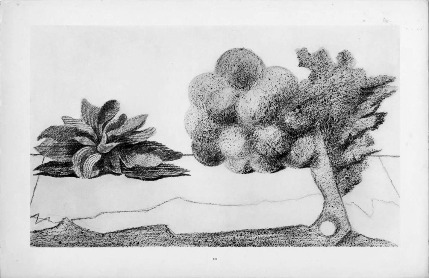 Max Ernst, Composition (Spies/Leppien 222), Histoire Naturelle, Limited Edition Lithograph