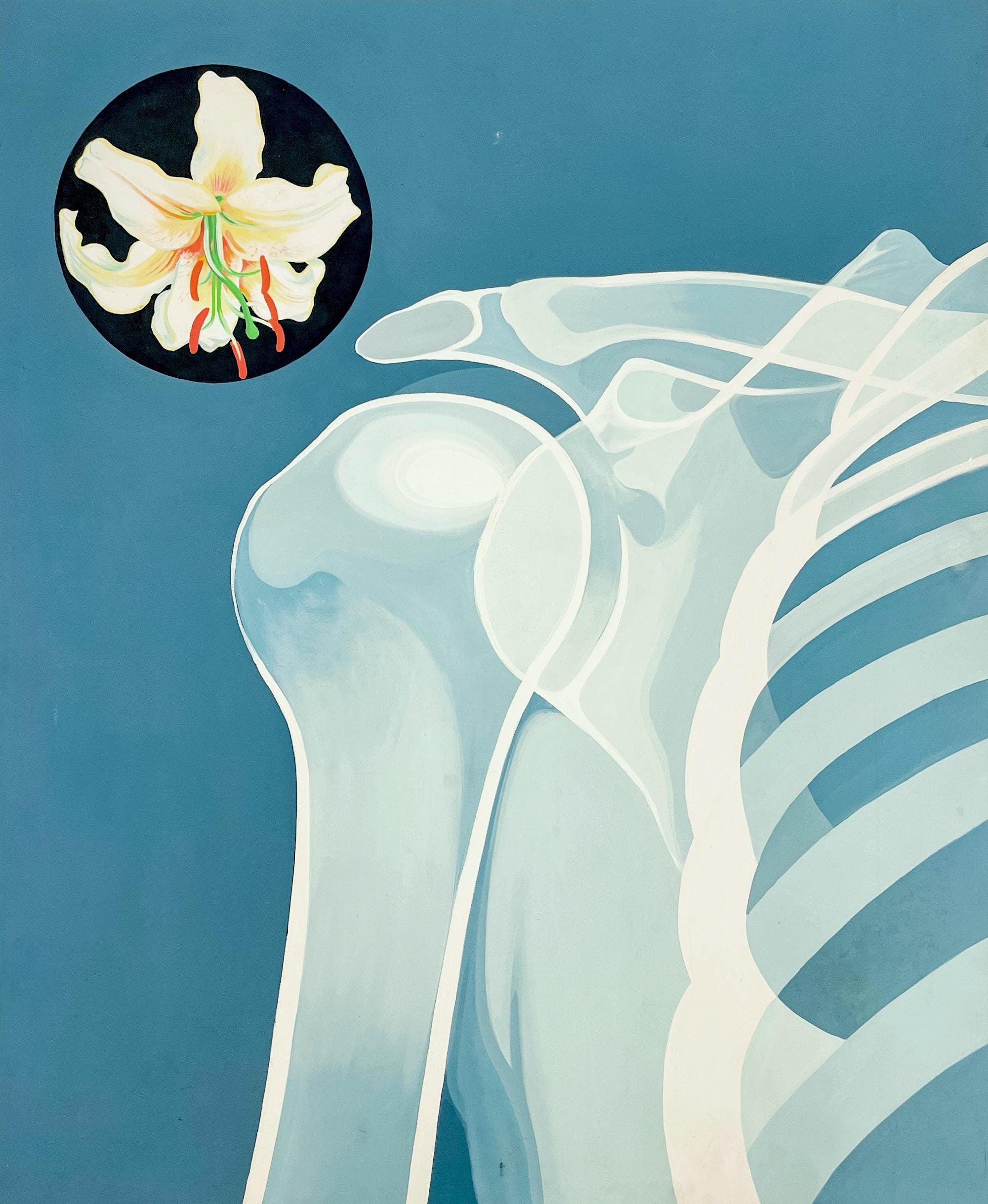Lowell Nesbitt, X-Ray Series (with Lily), Original Painting