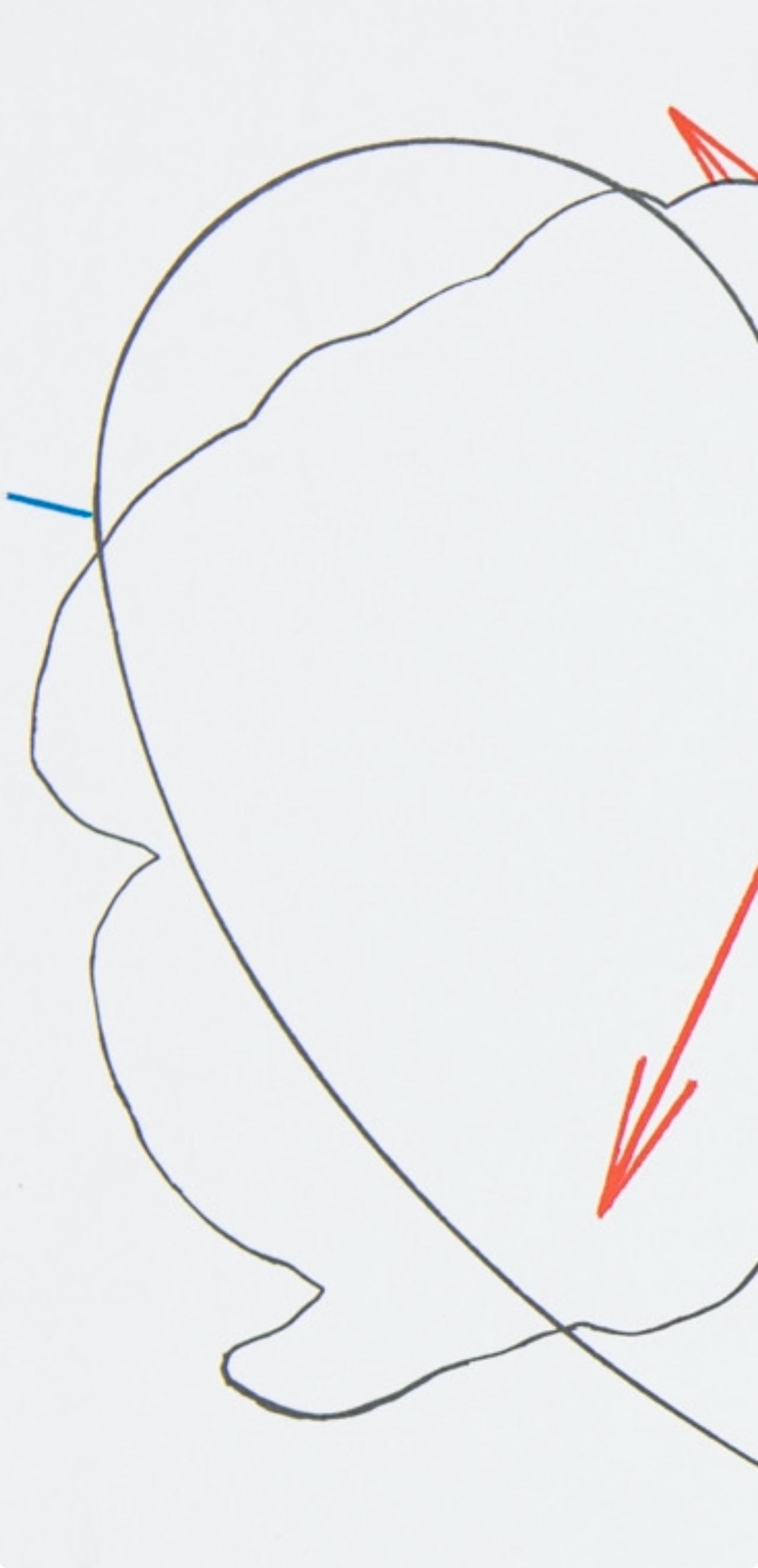 Shusaku Arakawa 荒川 修作, Composition, Derrière le miroir, Limited Edition Lithograph
