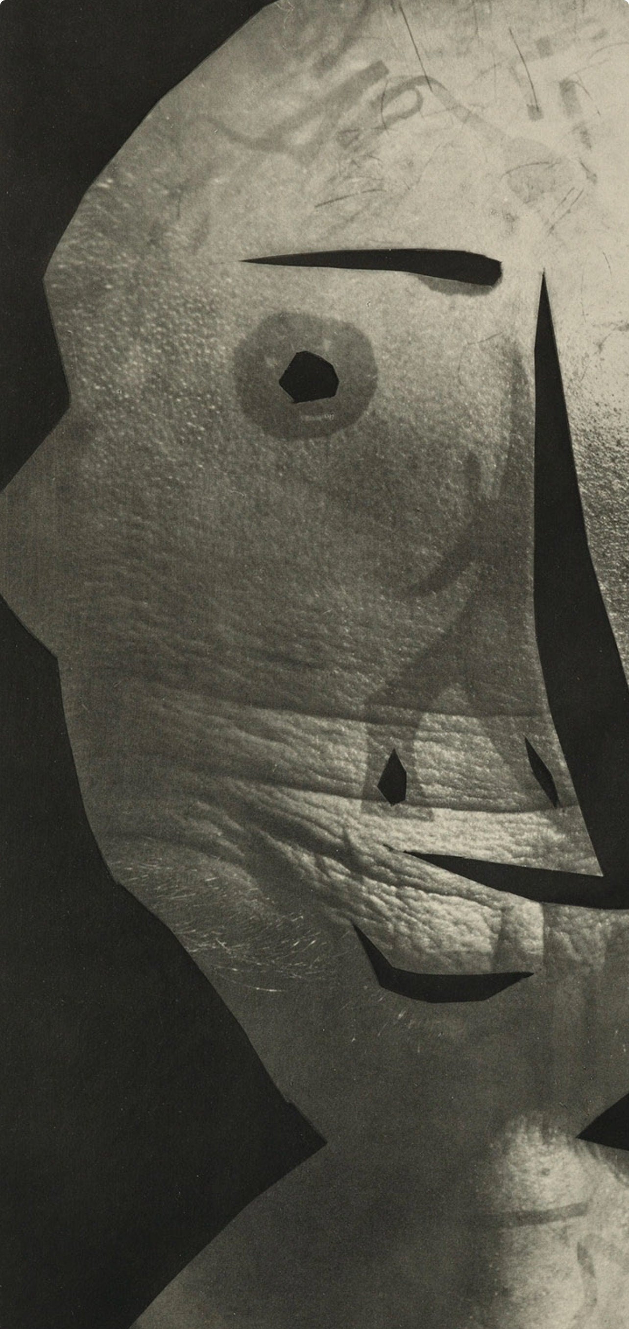 Pablo Picasso, Composition (Bloch 112; Kibbey 1466; Goeppert 115), Diurnes Découpages et Photographies, Limited Edition Phototype