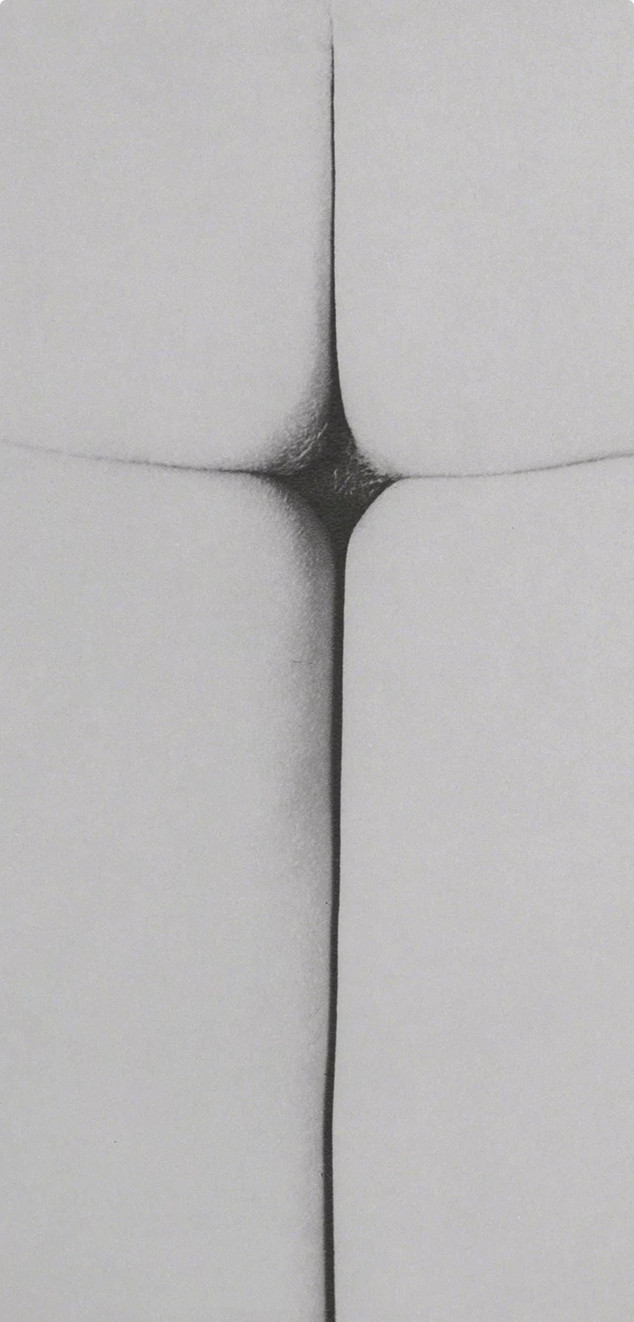 Erwin Blumenfeld, Composition, Erwin Blumenfeld, Electa Editrice Portfolios, Limited Edition Héliogravure