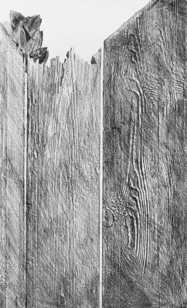 Max Ernst, Composition (Spies/Leppien 222), Histoire Naturelle, Limited Edition Lithograph