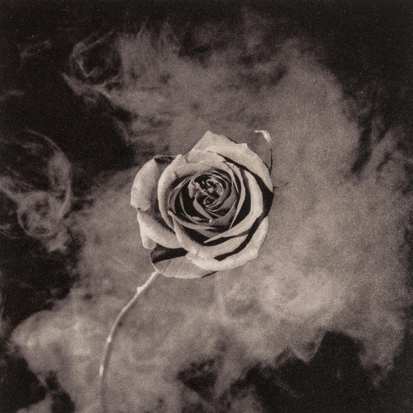 Robert Mapplethorpe, Rose with Smoke, A Season in Hell, Limited Edition Photogravure