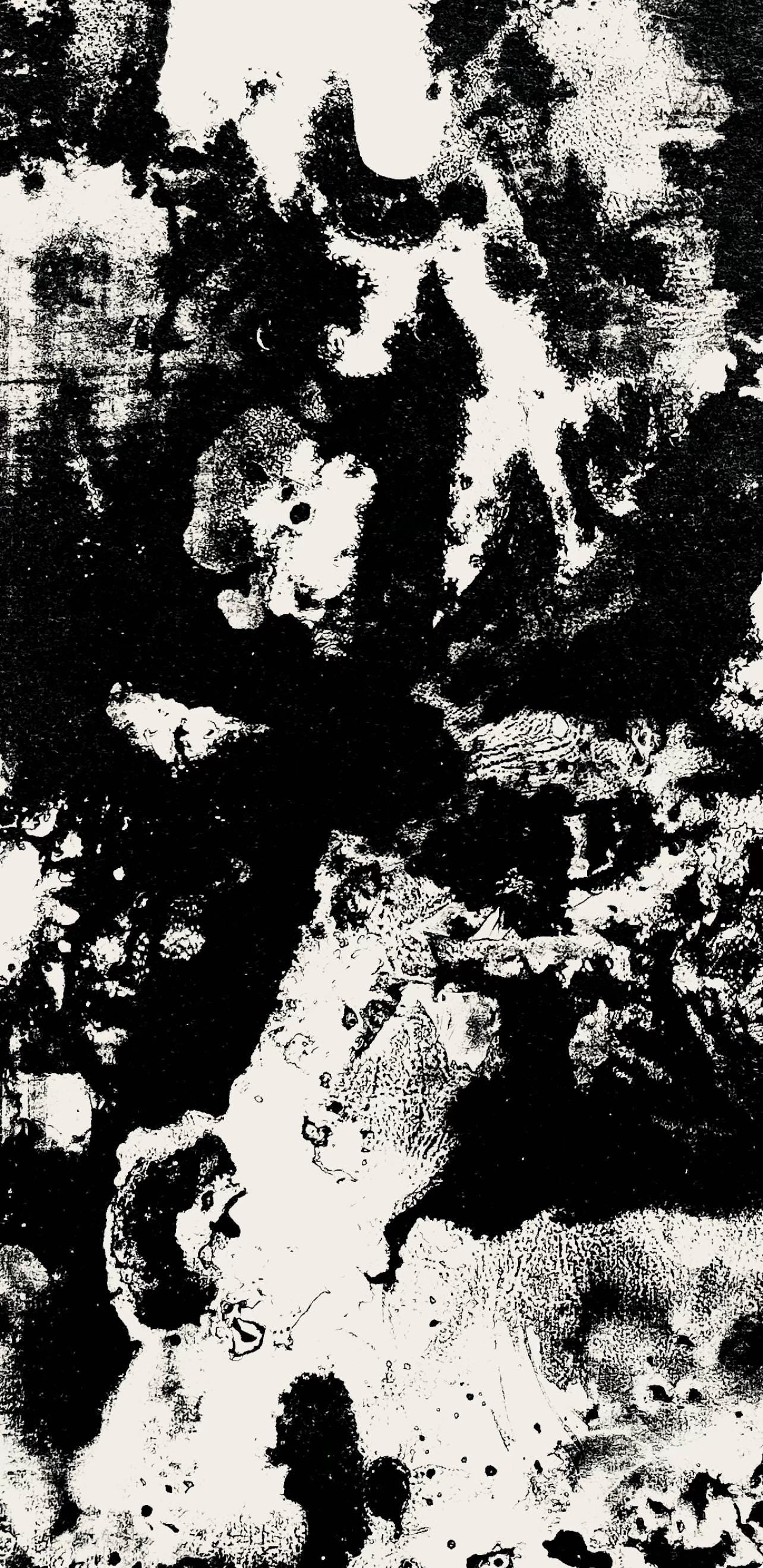 François Fiedler, Composition, Derrière le miroir, Limited Edition Lithograph