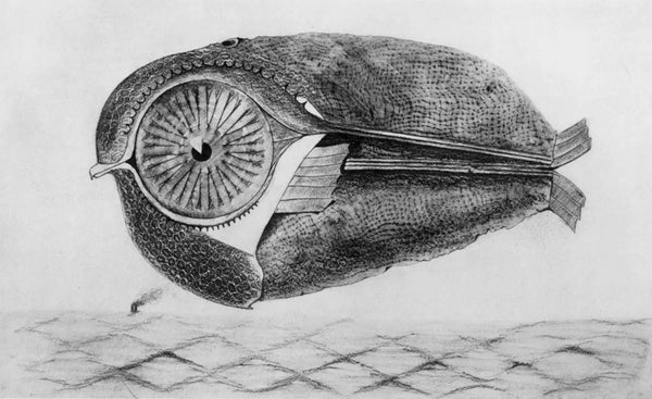 Max Ernst, Composition (Spies/Leppien 222), Histoire Naturelle, Limited Edition Lithograph