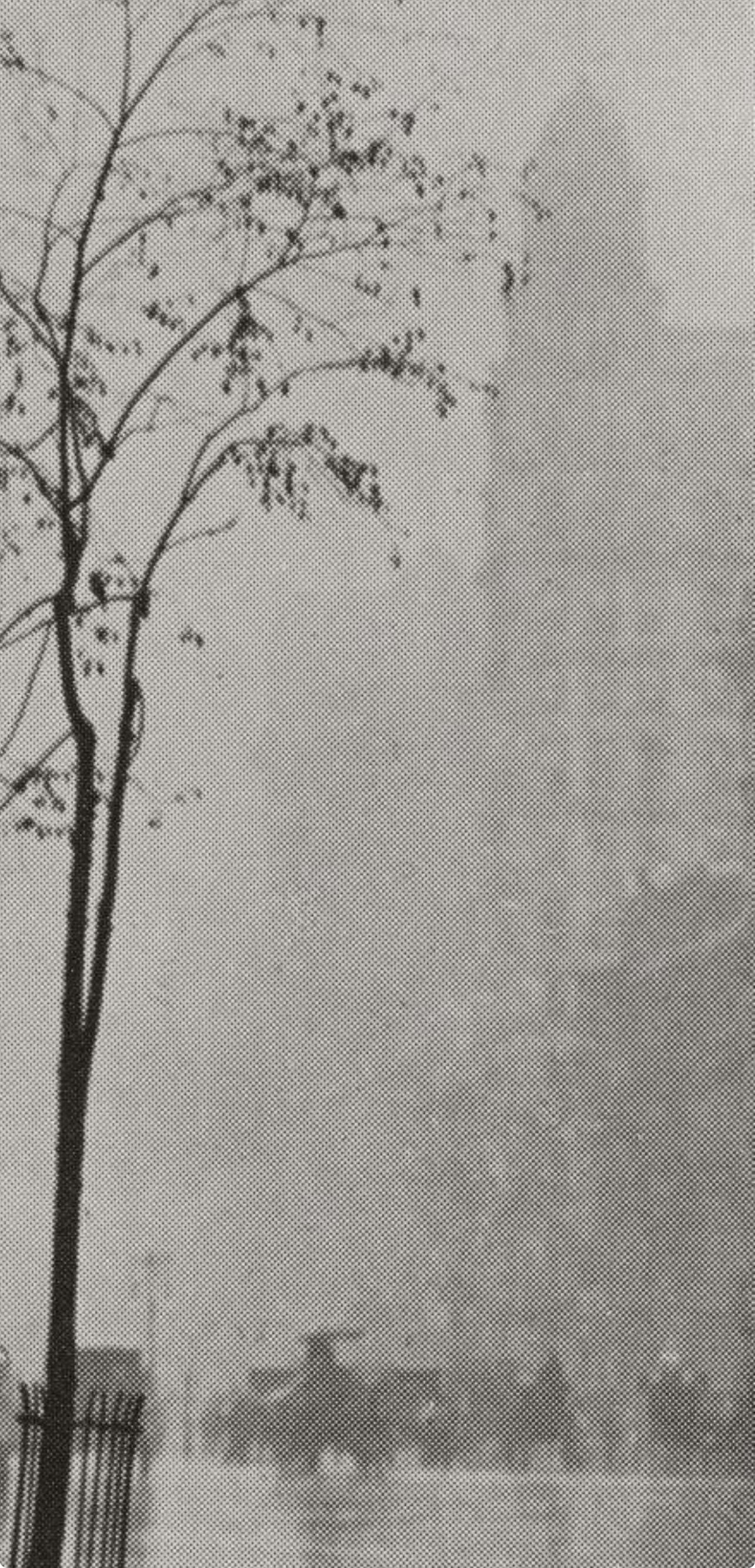 Alfred Stieglitz, Spring Showers, New York, Alfred Stieglitz Memorial Portfolio 1864-1946, Limited Edition Halftone Photograph