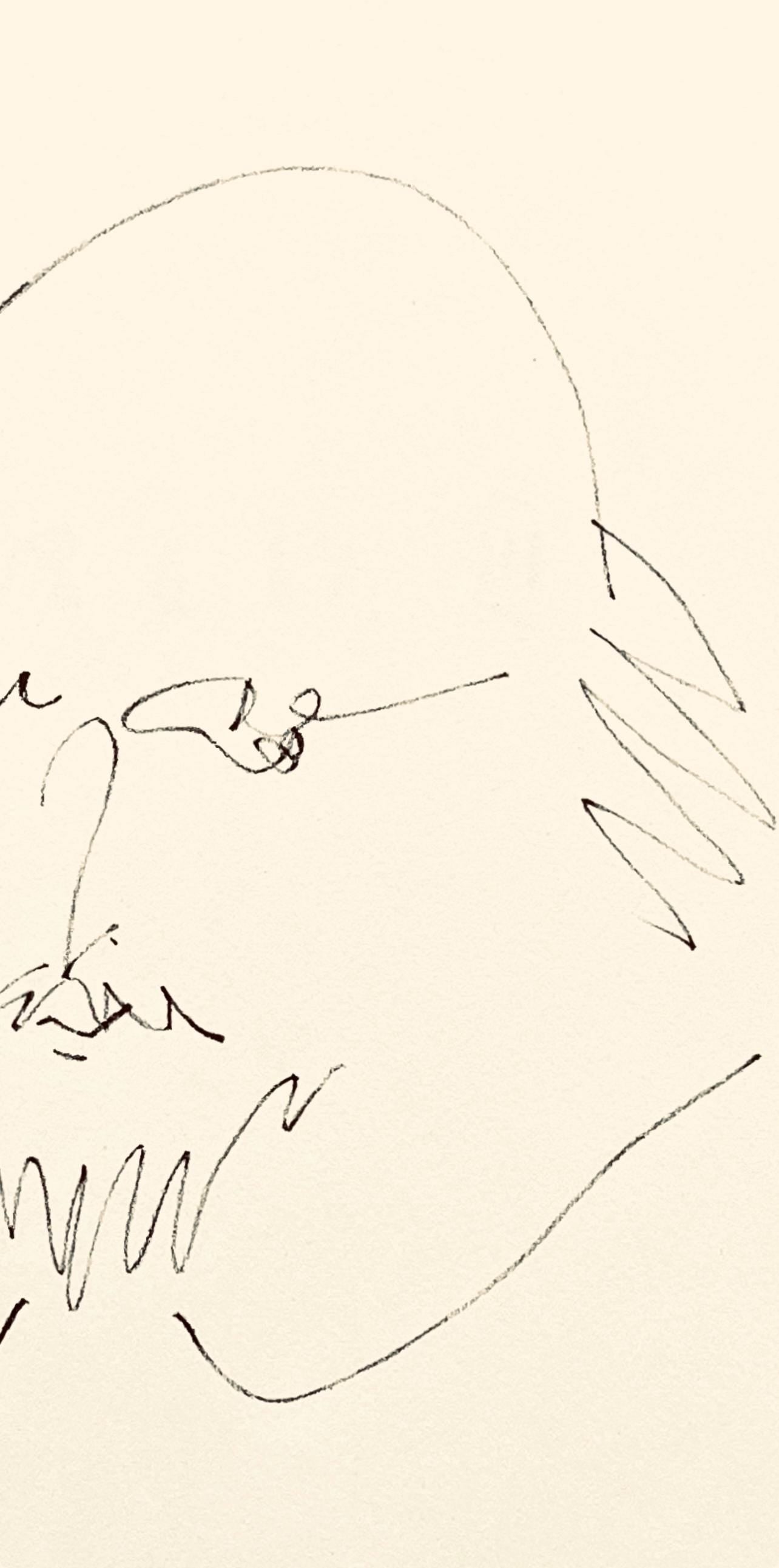 Pablo Picasso, Shakespeare XI (Bloch 1197), Picasso-Aragon Shakespeare, Limited Edition Lithograph