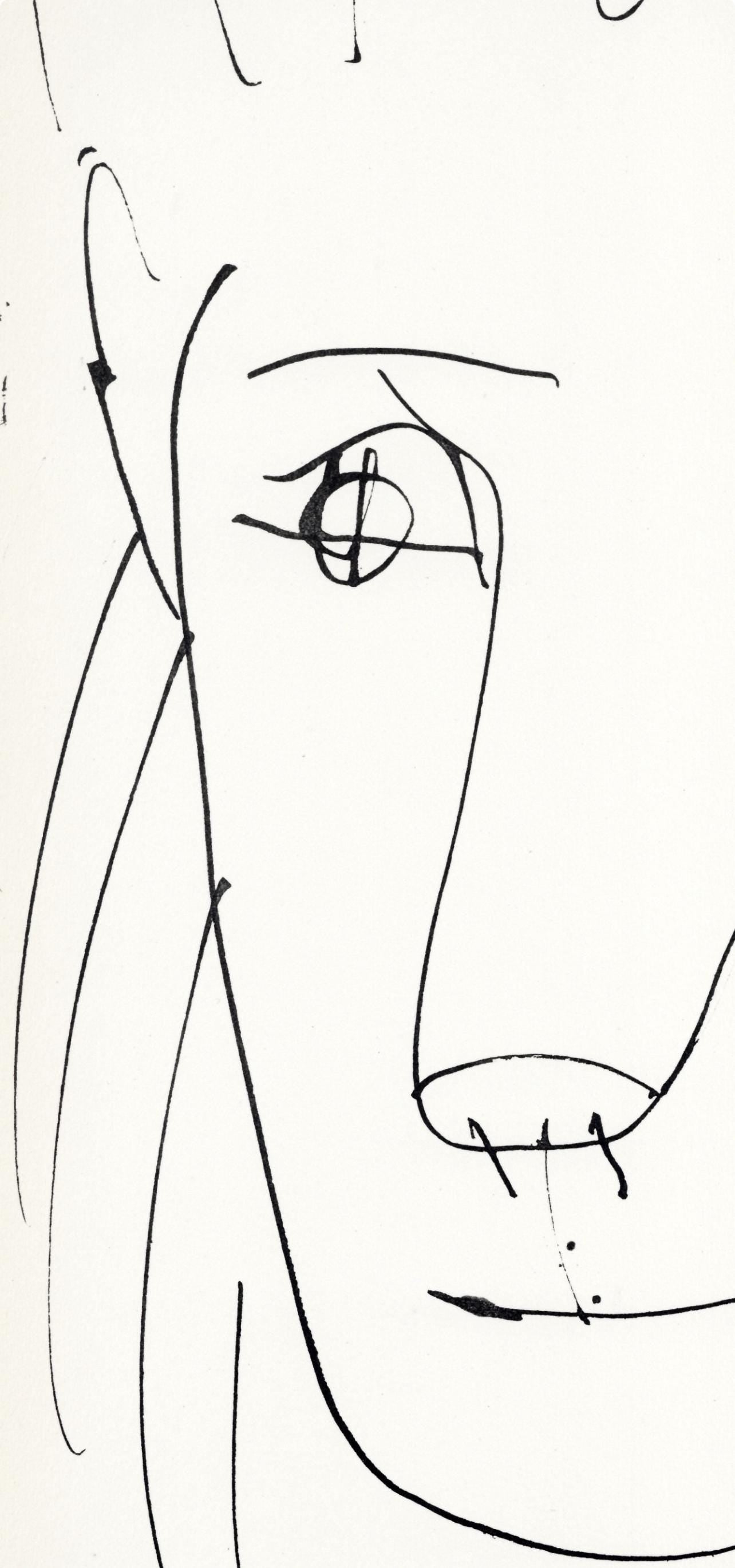 Pablo Picasso, Tête de lion (Cramer No. 84), 40 dessins de Picasso en marge du Buffon, Limited Edition Lithograph