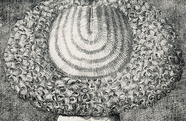 Domenico Gnoli, Composition, Suites nº9, Limited Edition Lithograph