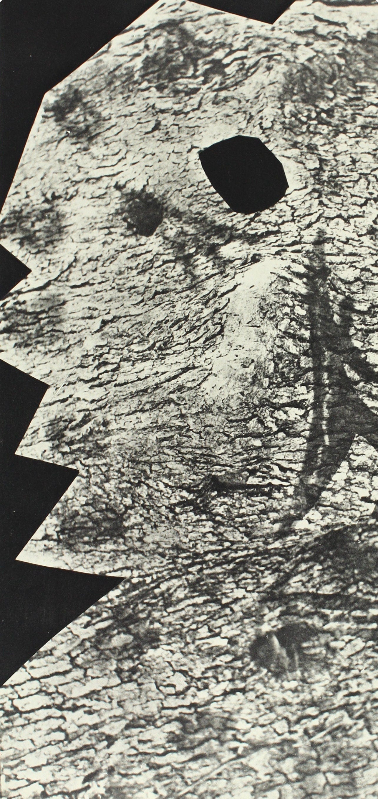 Pablo Picasso, Composition (Bloch 112; Kibbey 1466; Goeppert 115), Diurnes Découpages et Photographies, Limited Edition Phototype