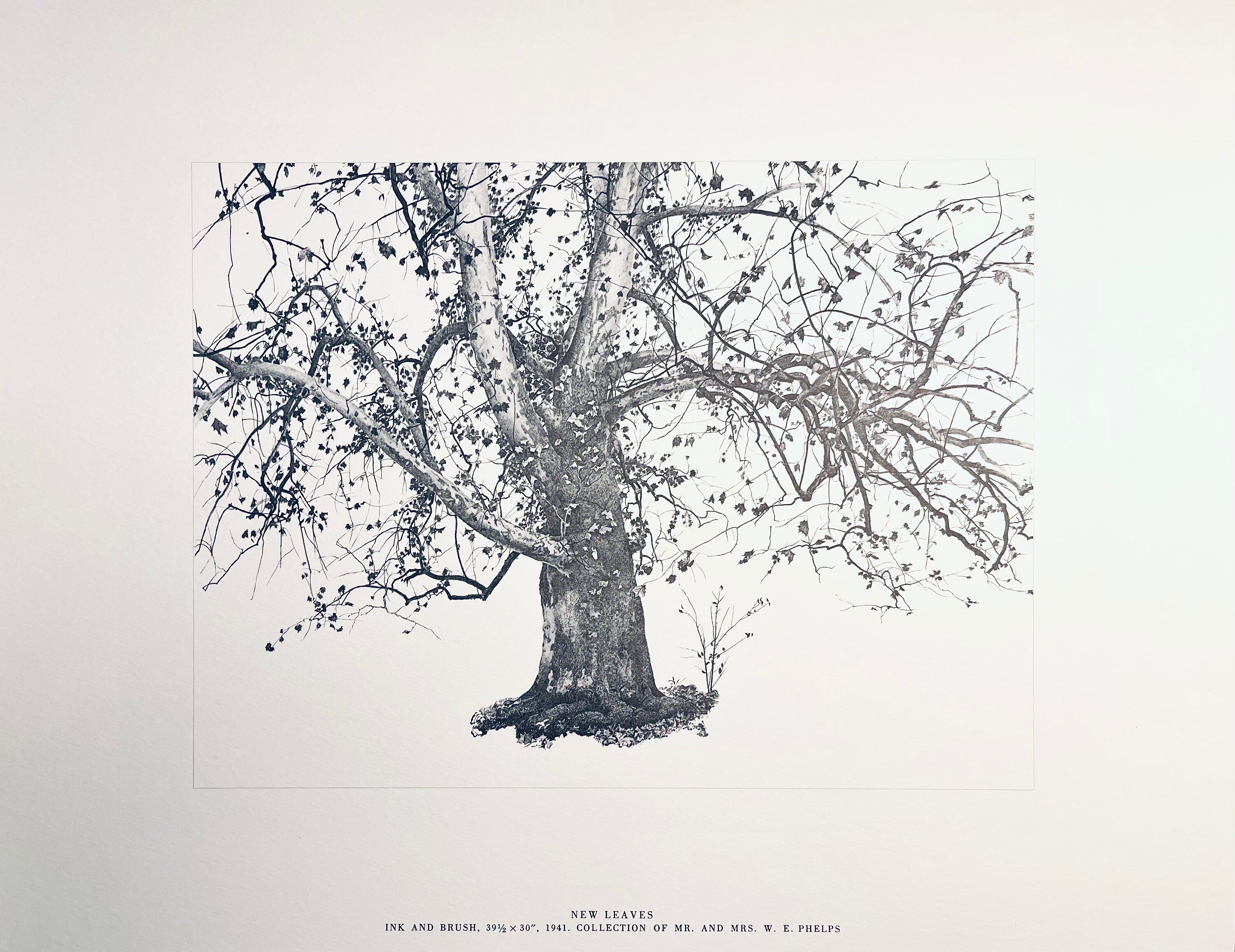 Andrew Wyeth, New Leaves, The Four Seasons, Limited Edition Lithograph