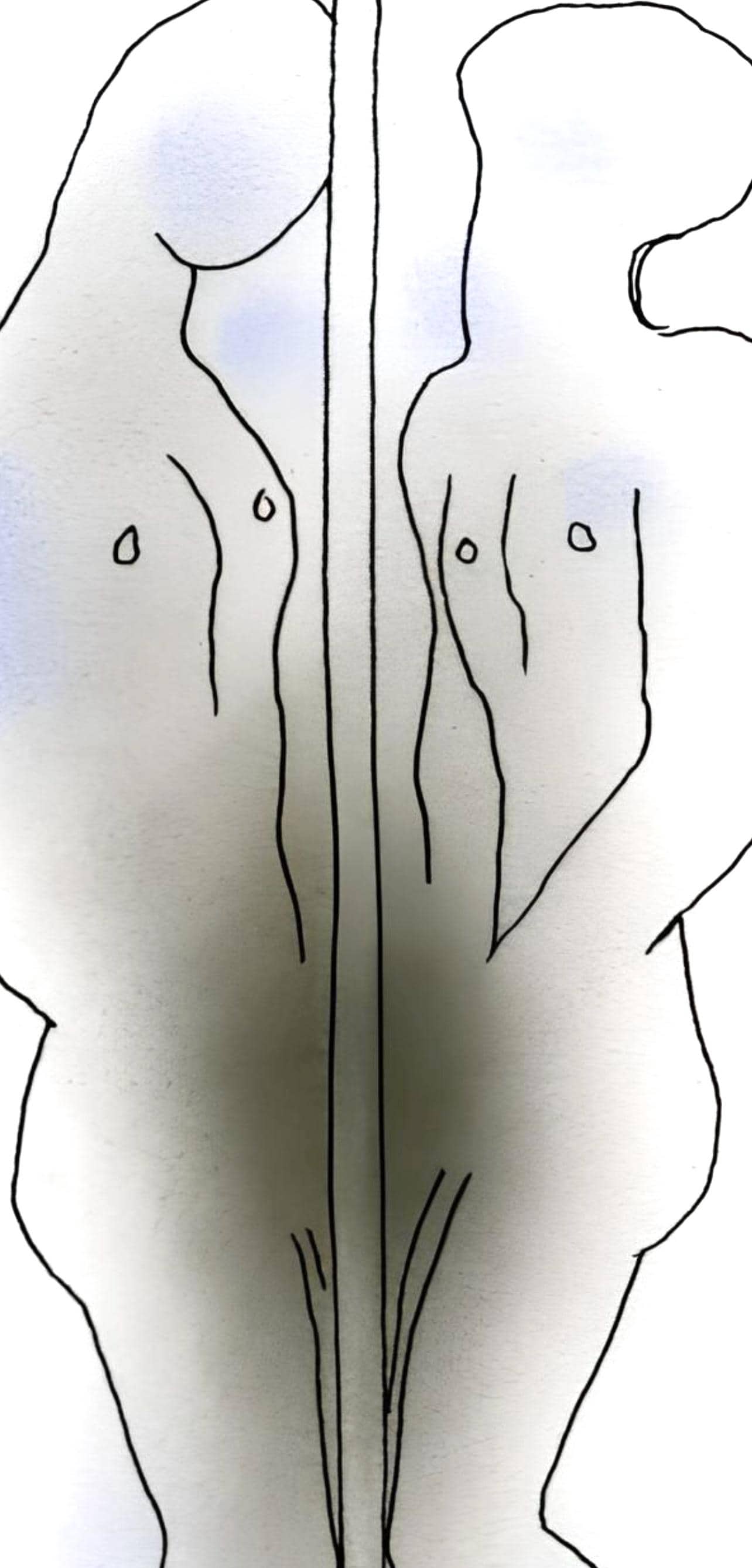 Jean Cocteau, Composition, Le Livre Blanc, Limited Edition Lithograph